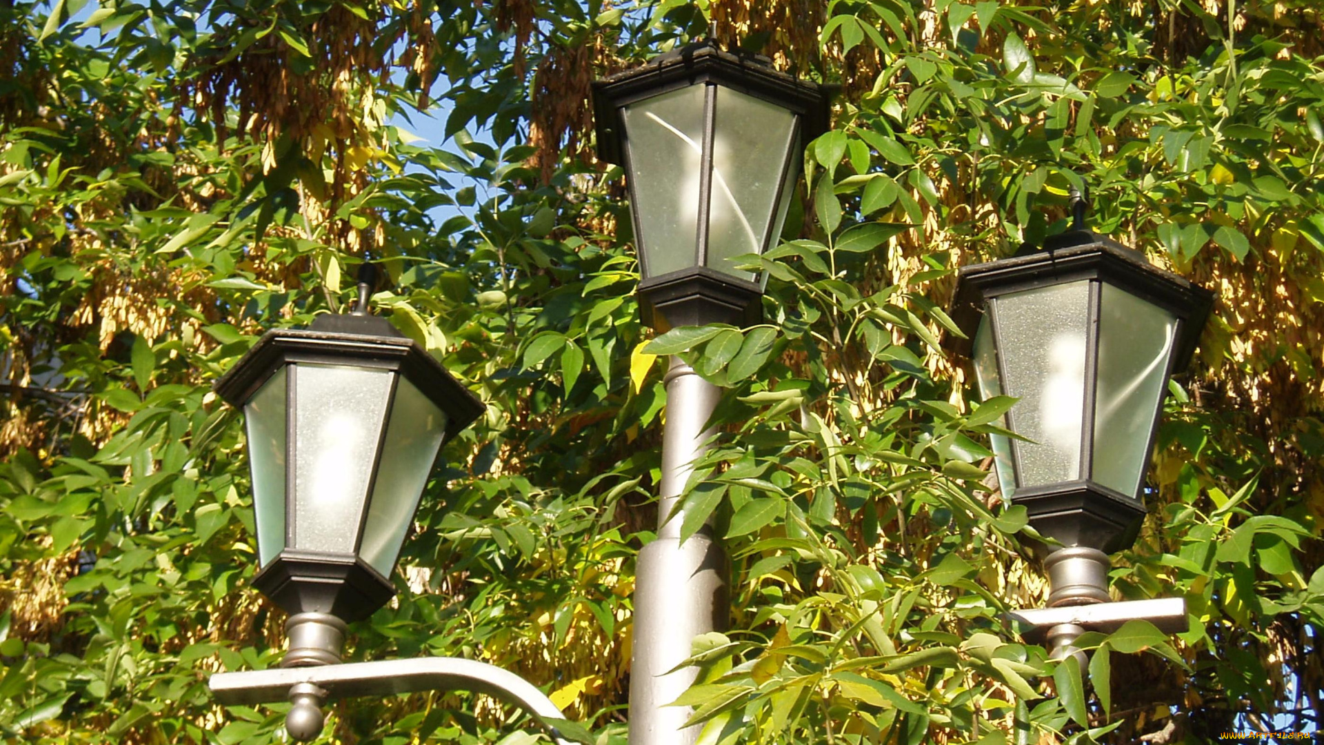 города, -, другое, город, светильник, городское, освещение, фонарь, город, зимой, зимний, город