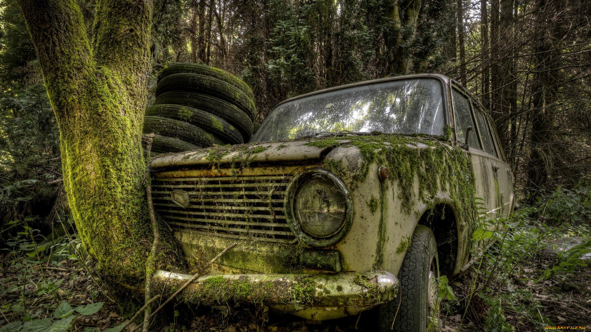 интересно, , автомобиль, на, ходу, автомобили, ваз, автомобиль, белый, лес, мох