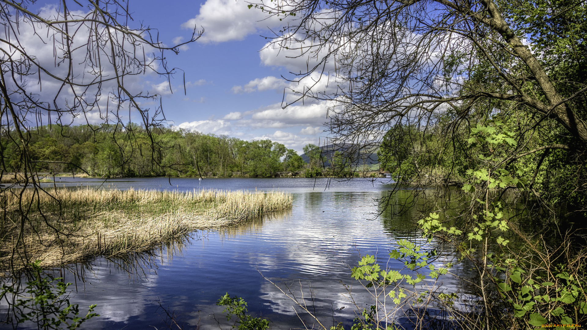 природа, реки, озера, простор