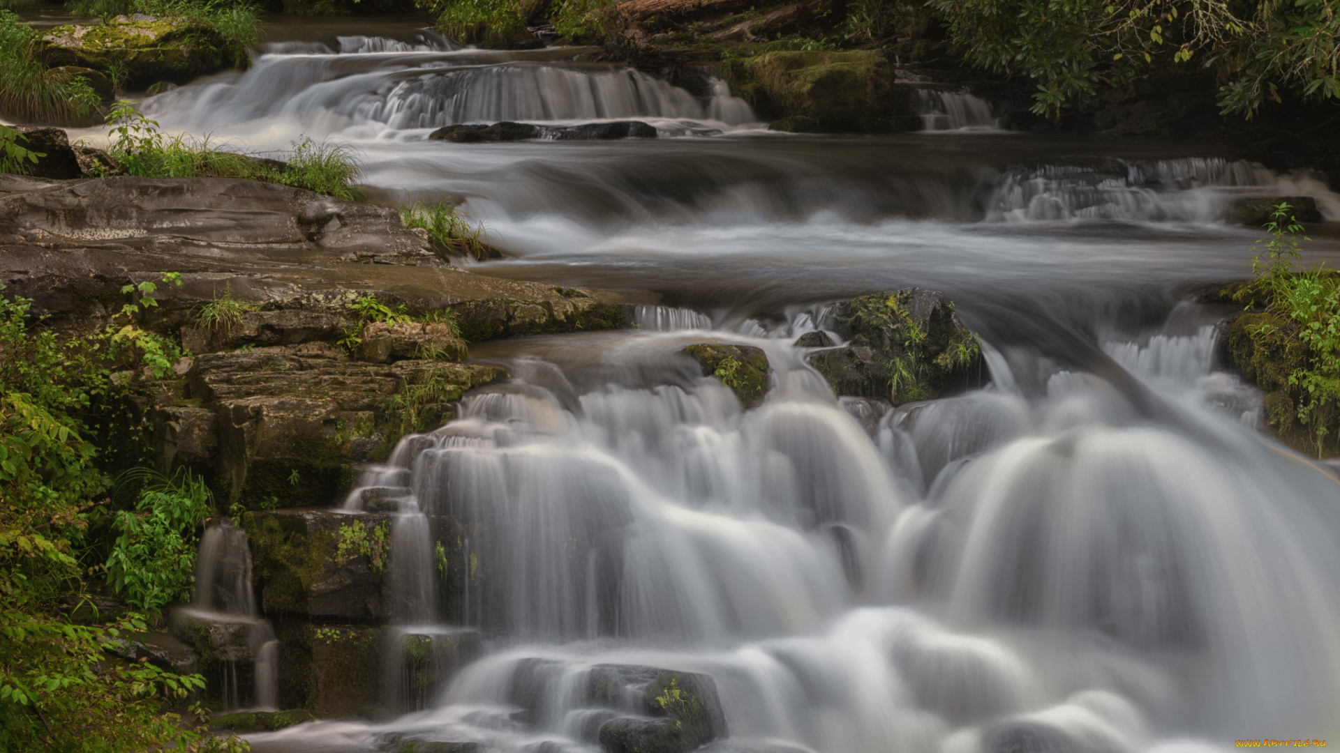 природа, водопады, поток, водопад, вода, деревья