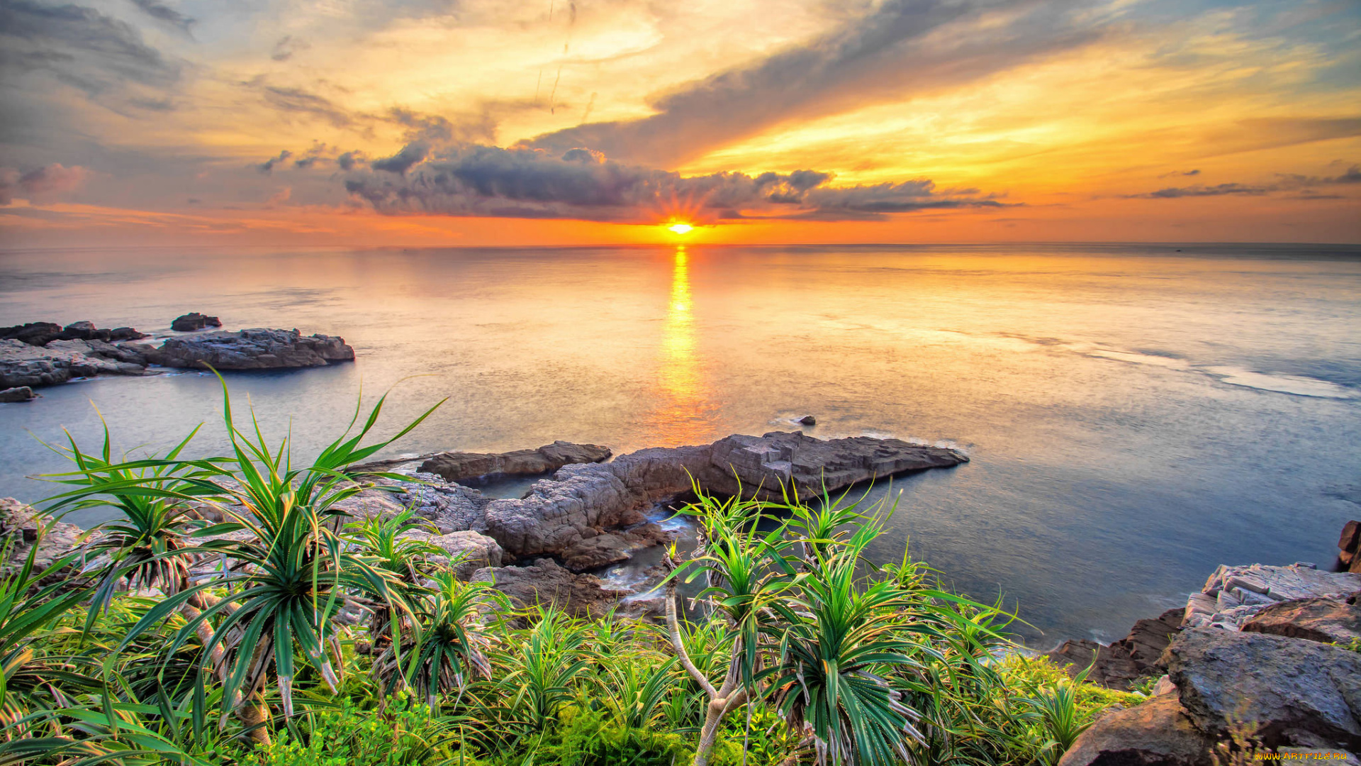 природа, восходы, закаты, трава, восход, море, пейзаж