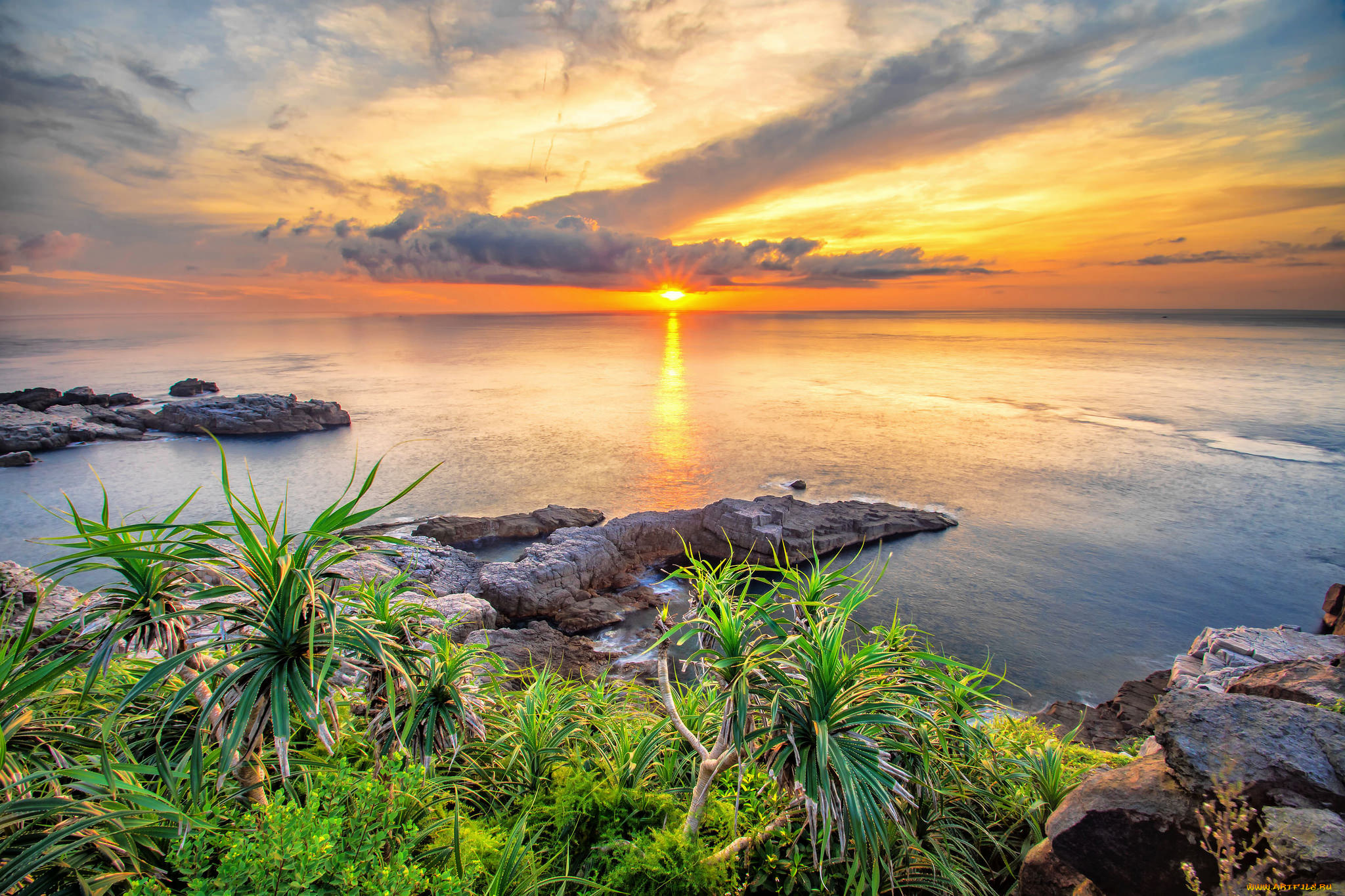 природа, восходы, закаты, трава, восход, море, пейзаж