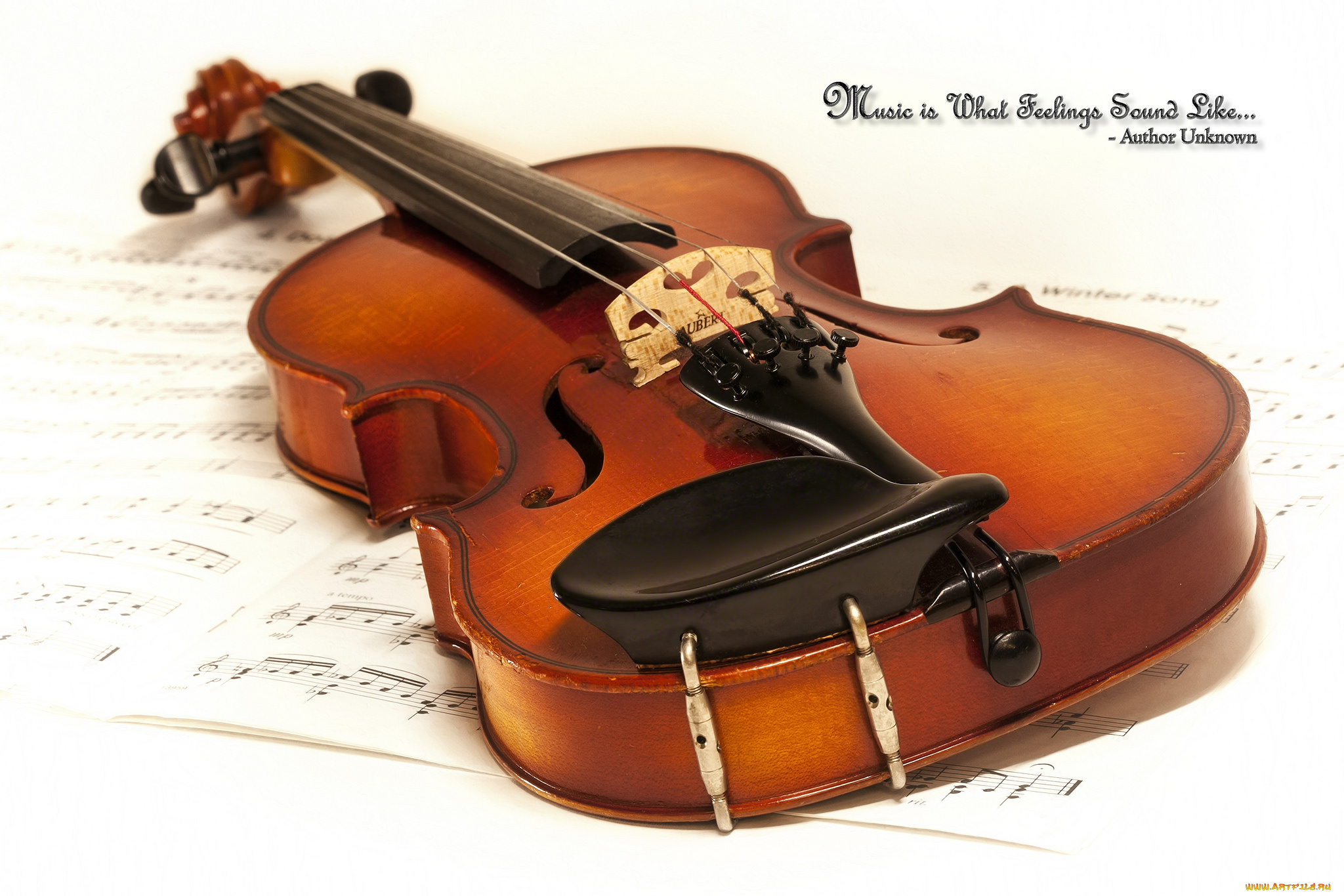 музыка, -музыкальные, инструменты, скрипка