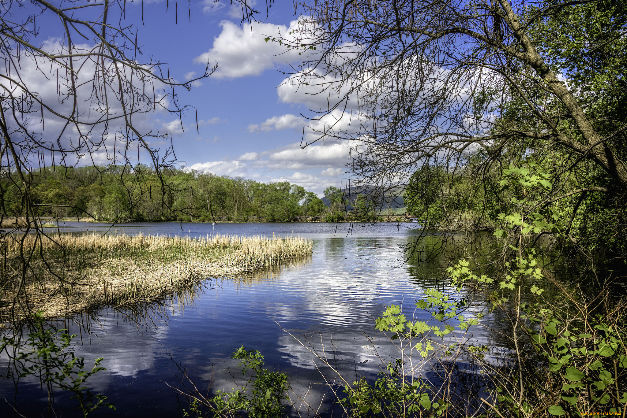 природа, реки, озера, простор