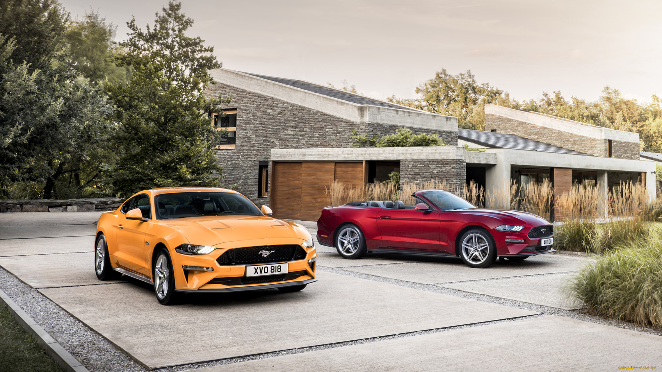 ford, mustang, gt, coupe, and, cabrio, 2018, автомобили, mustang, coupe, gt, ford, cabrio, 2018