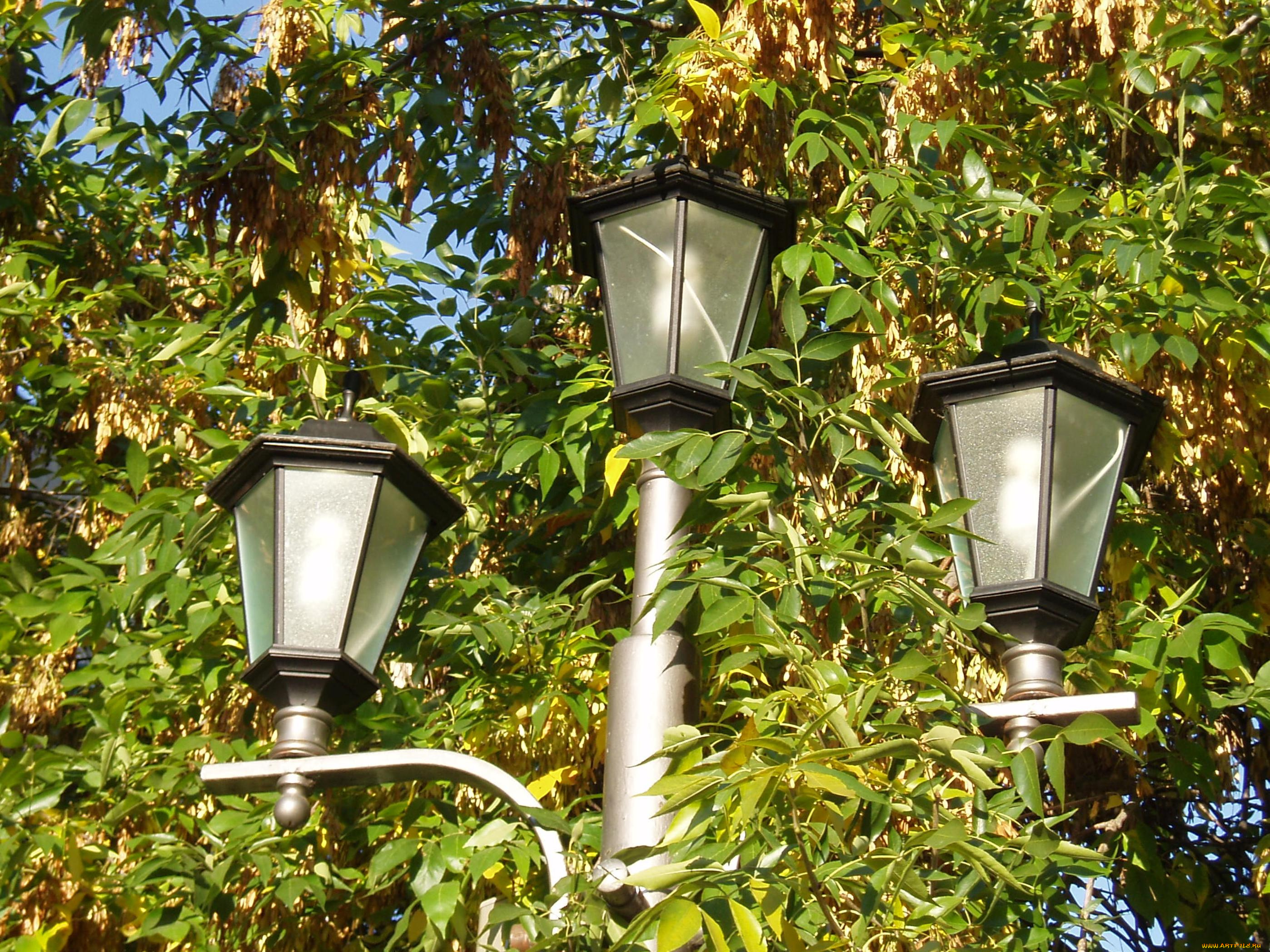 города, -, другое, город, светильник, городское, освещение, фонарь, город, зимой, зимний, город