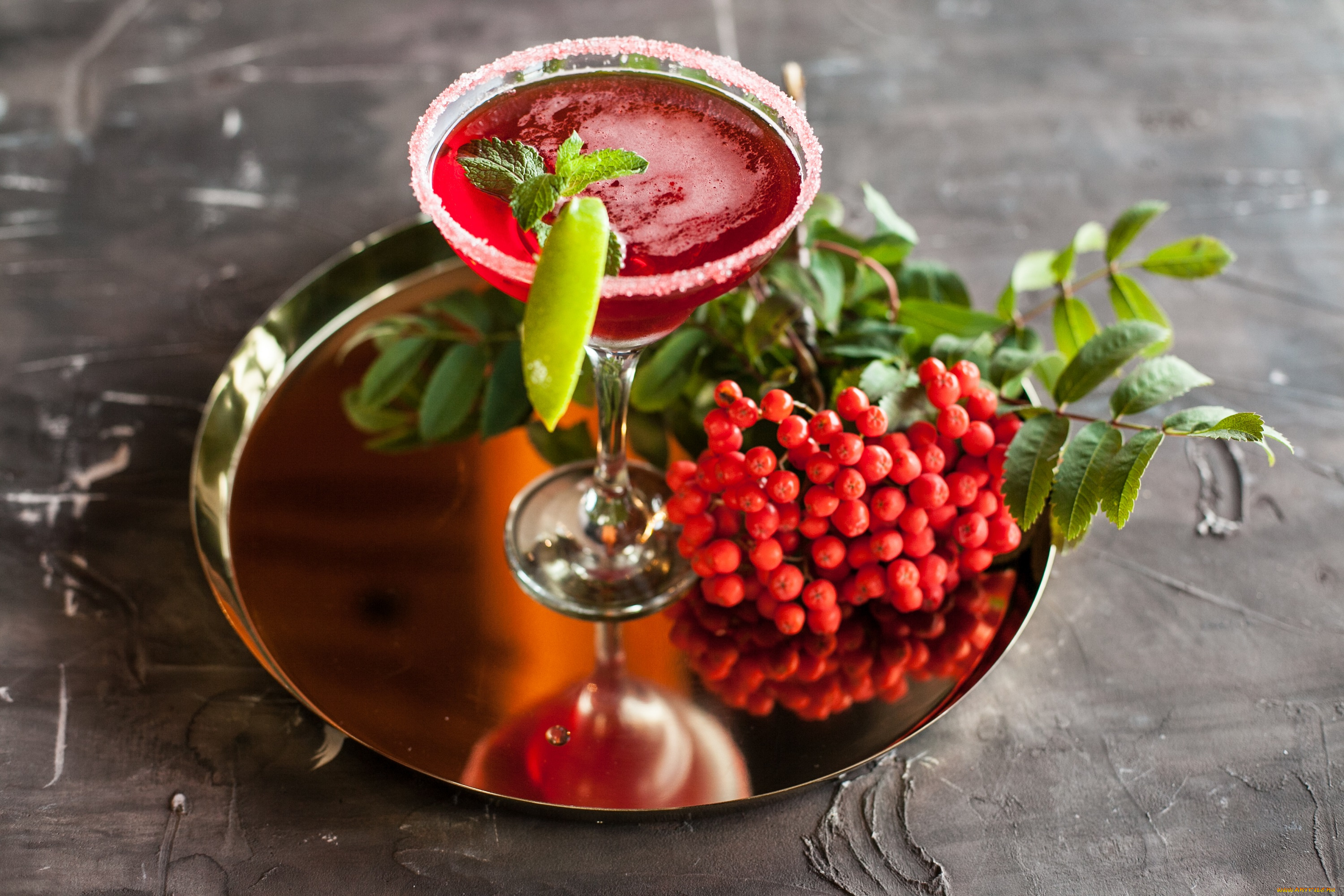 еда, напитки, , коктейль, бокал, напиток, рябина, мята, ветка