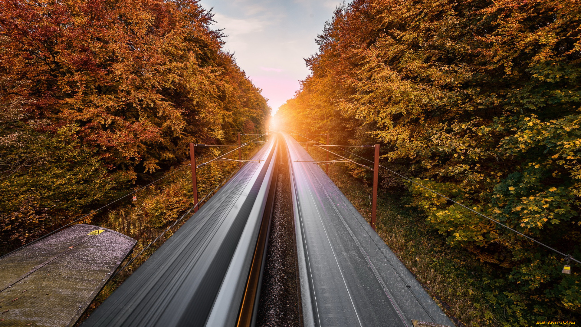 природа, дороги, деревья, дорога