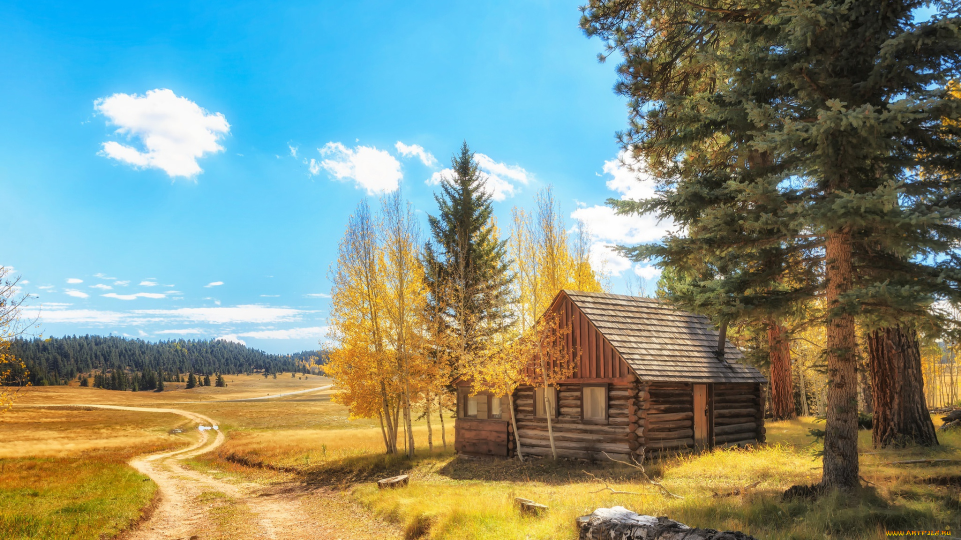 природа, дороги, осень, пейзаж, деревья, дом, желтые, поляна, листва, красота, избушка, настроение, облака, трава, лес, дорога, поле, даль