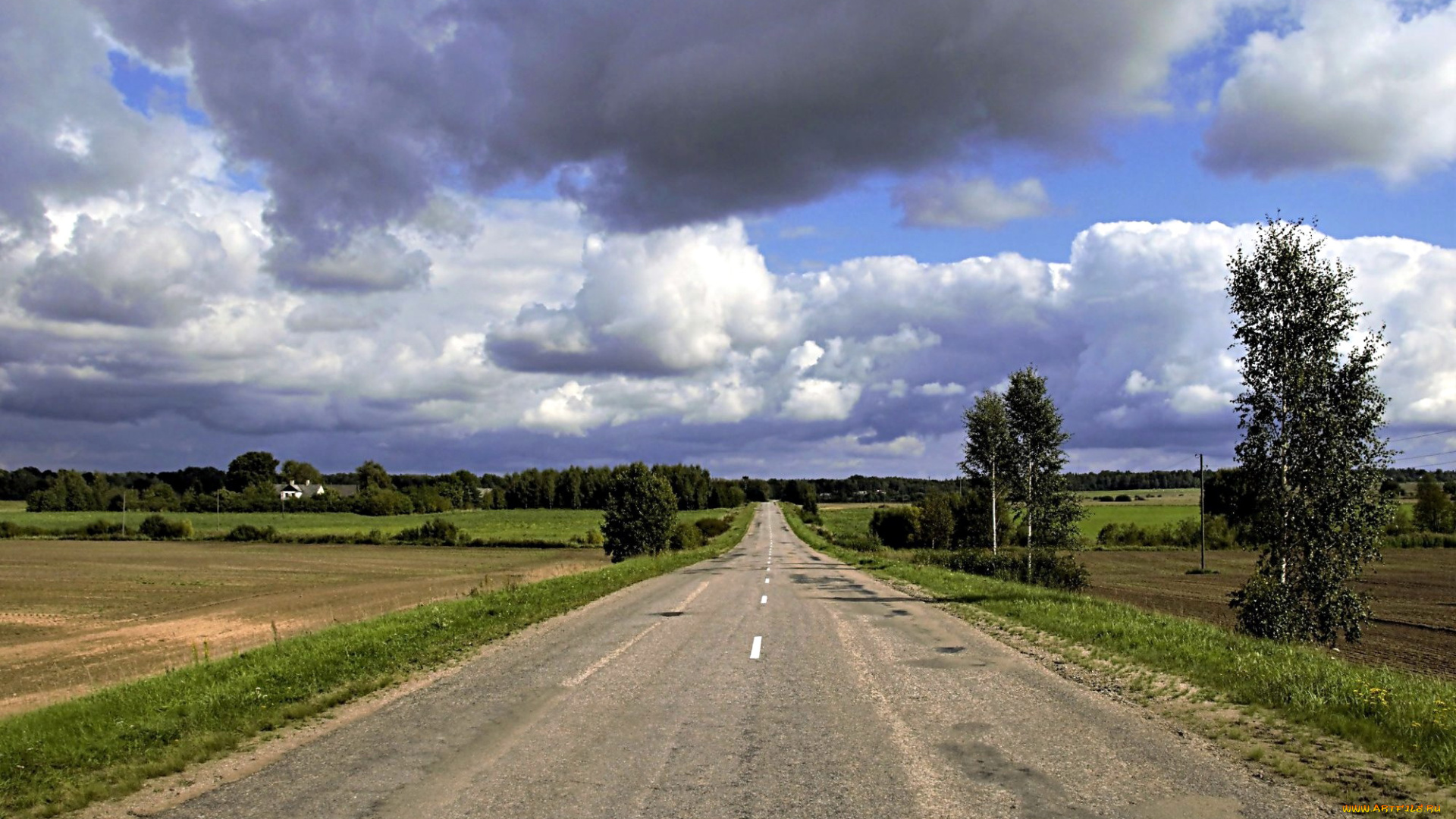 природа, дороги, шоссе