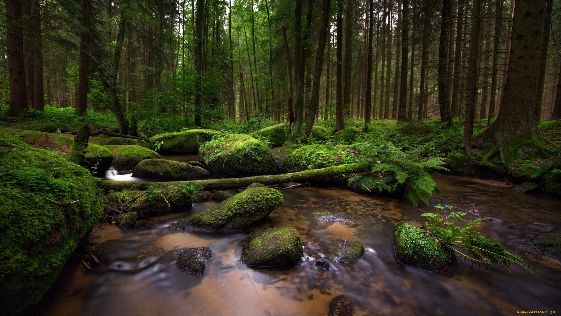 природа, реки, озера, камни, река