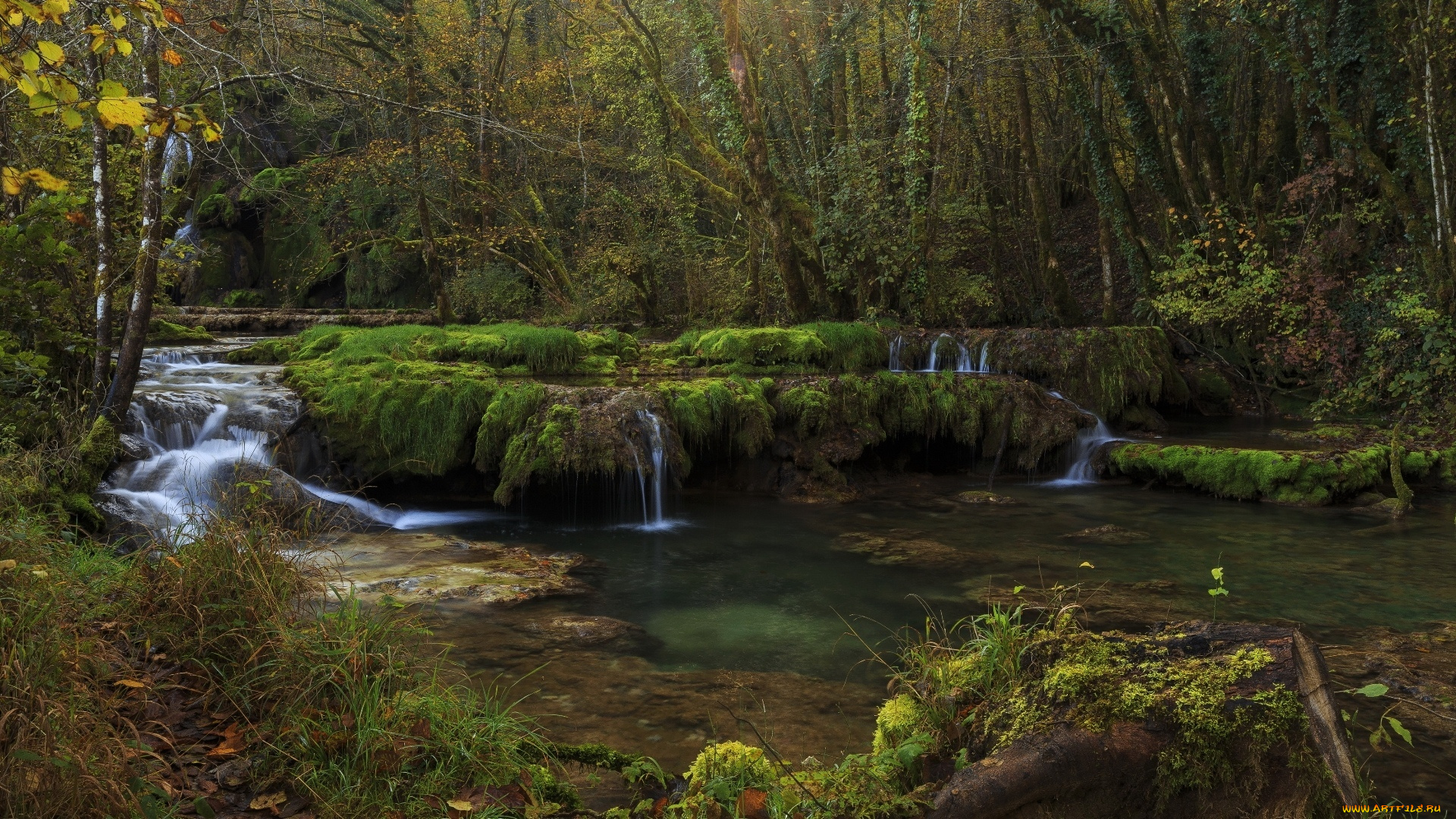 природа, реки, озера, лес, река