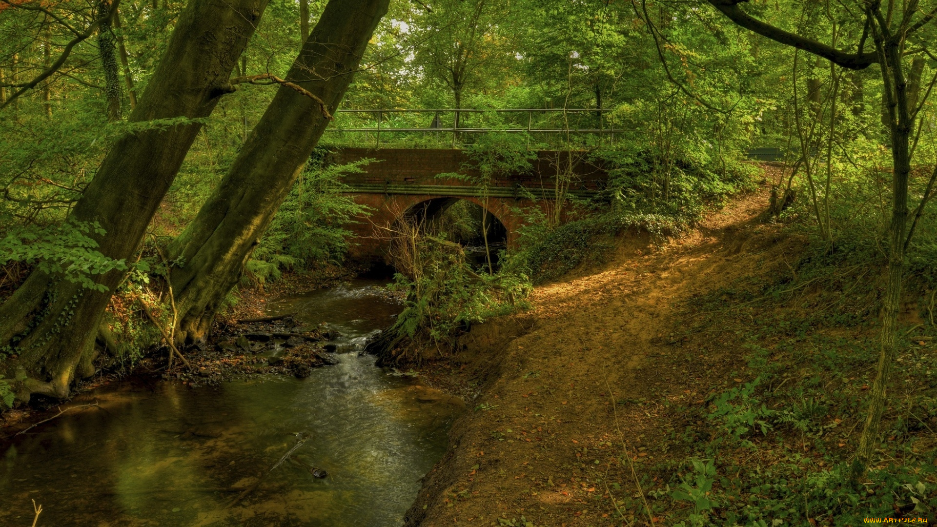 природа, реки, озера, мост, река