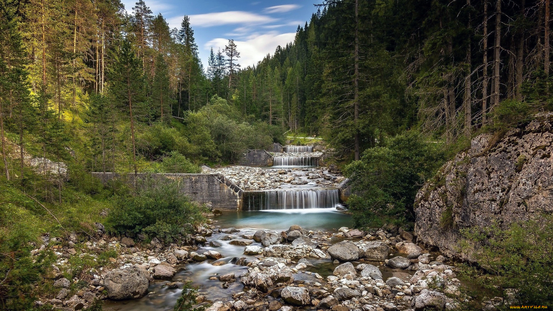 природа, реки, озера, река, лес