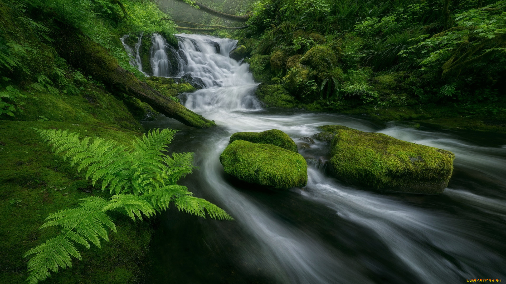 природа, водопады, мох, камни, река