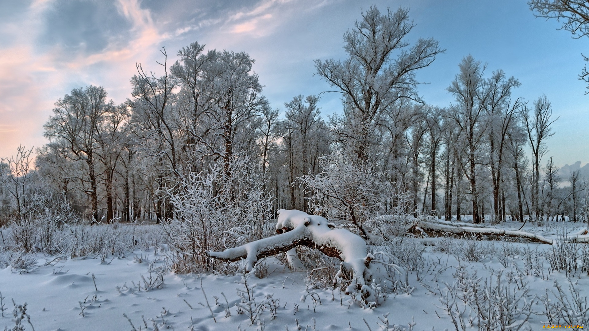 природа, зима, снег