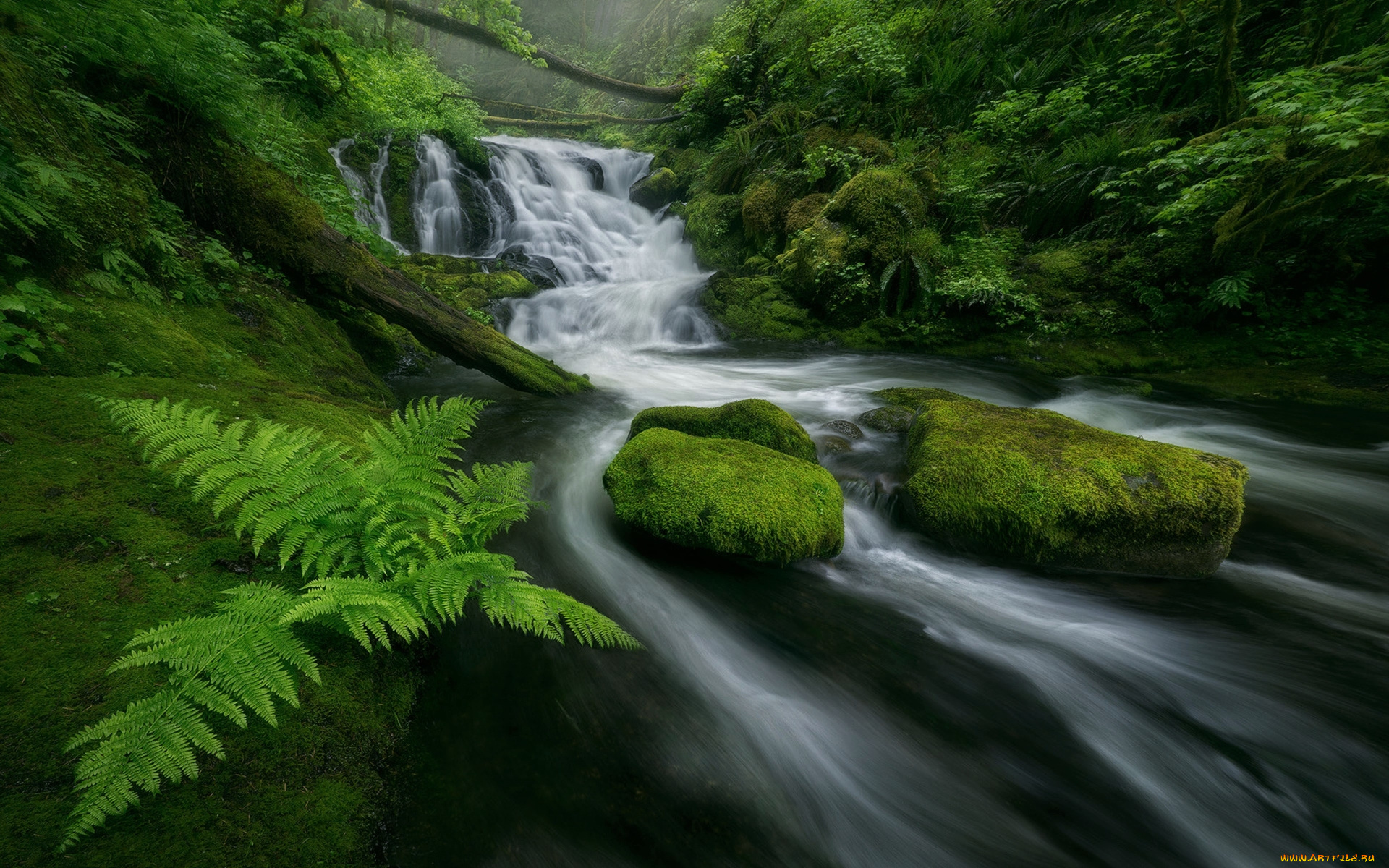 природа, водопады, мох, камни, река