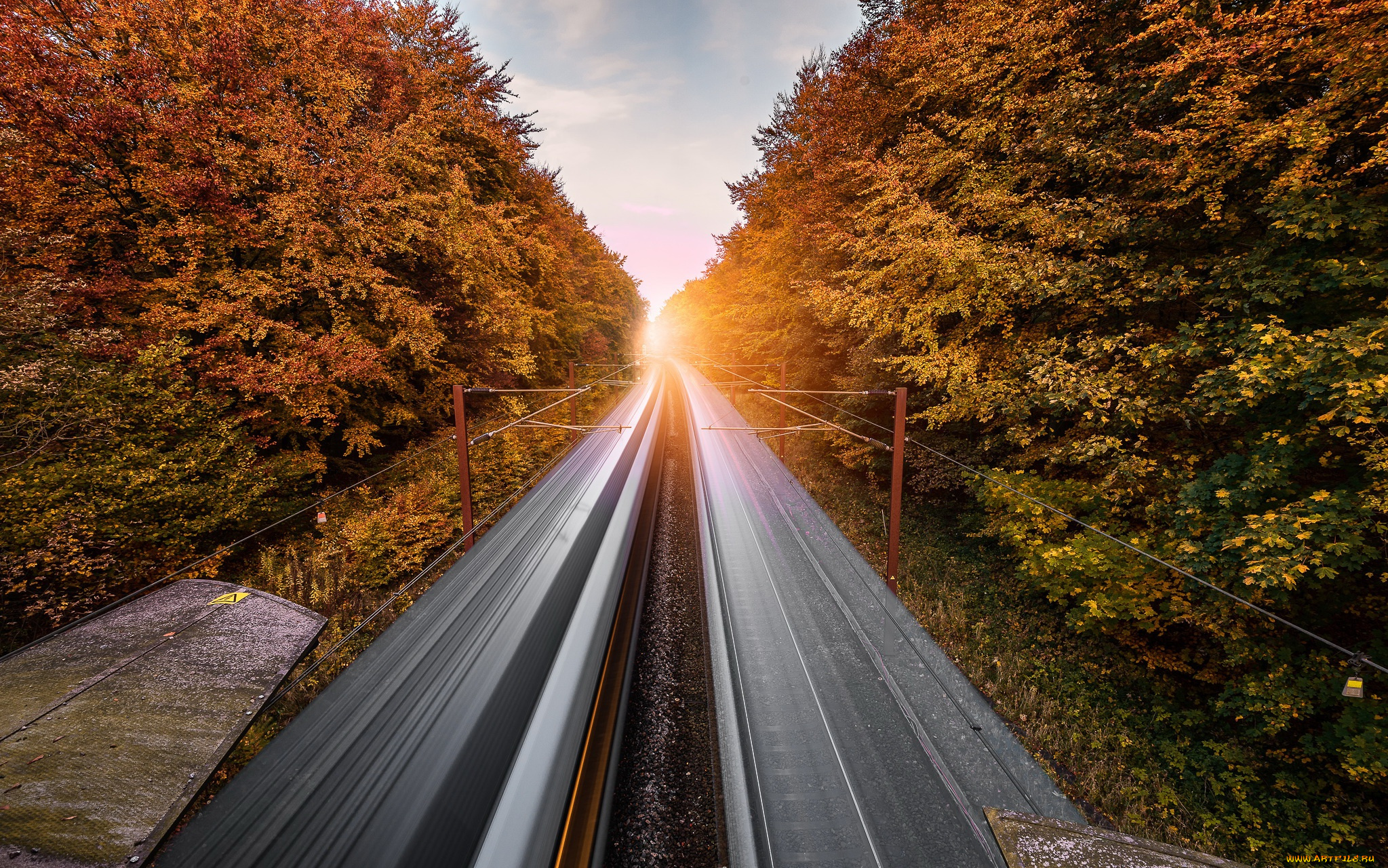 природа, дороги, деревья, дорога