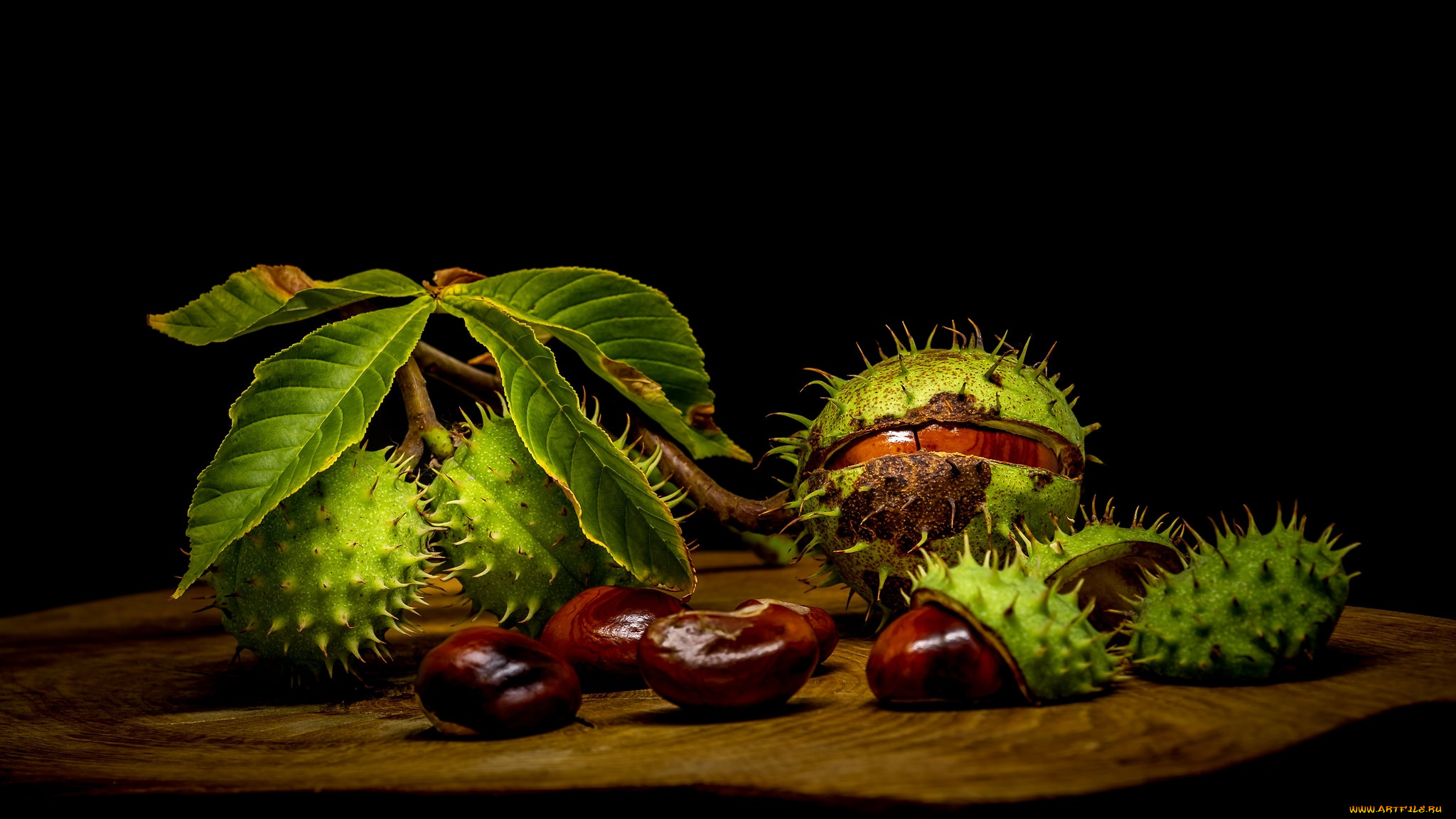 еда, орехи, , каштаны, , какао-бобы, колючки, каштан, плоды