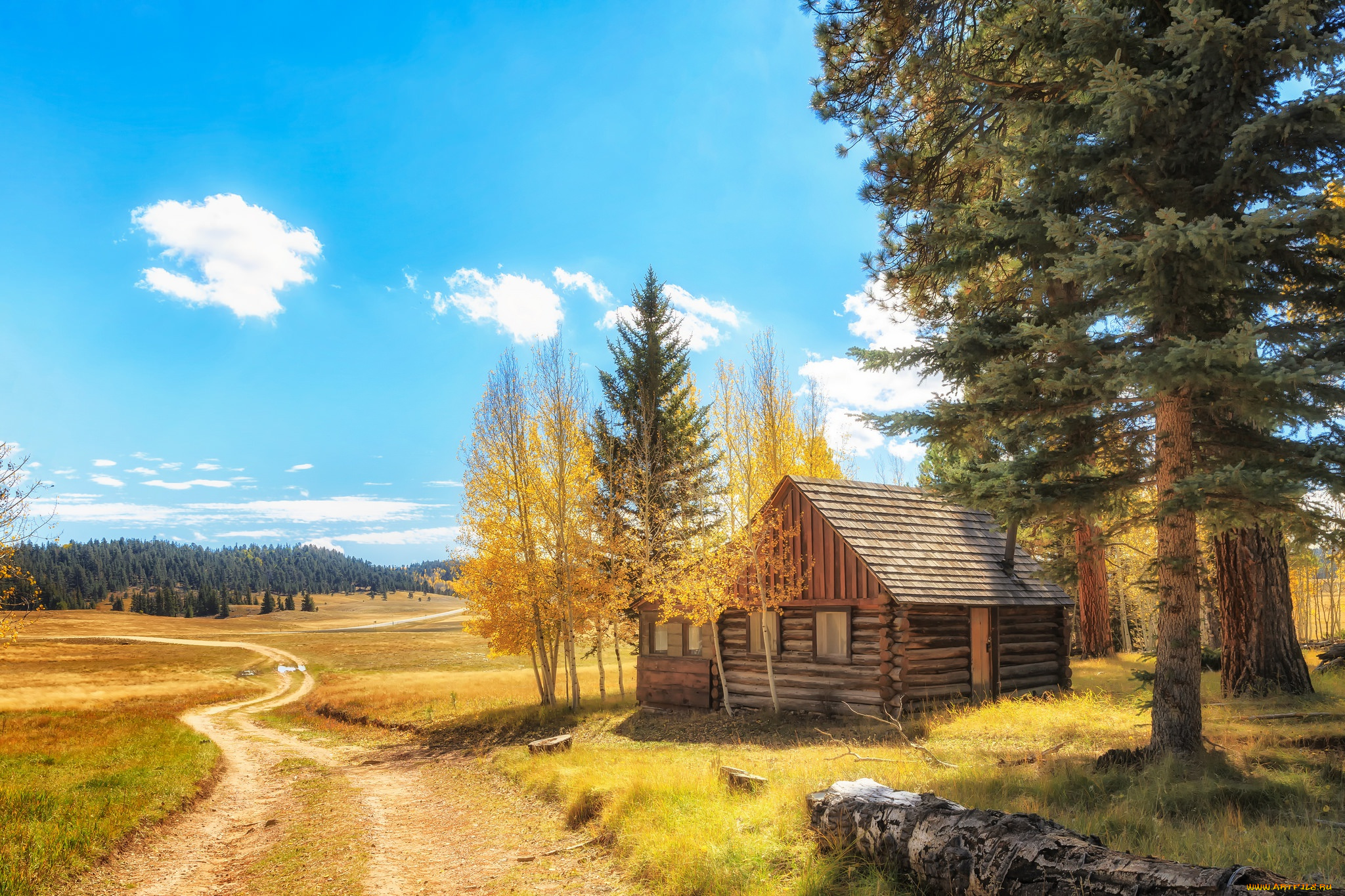 природа, дороги, осень, пейзаж, деревья, дом, желтые, поляна, листва, красота, избушка, настроение, облака, трава, лес, дорога, поле, даль