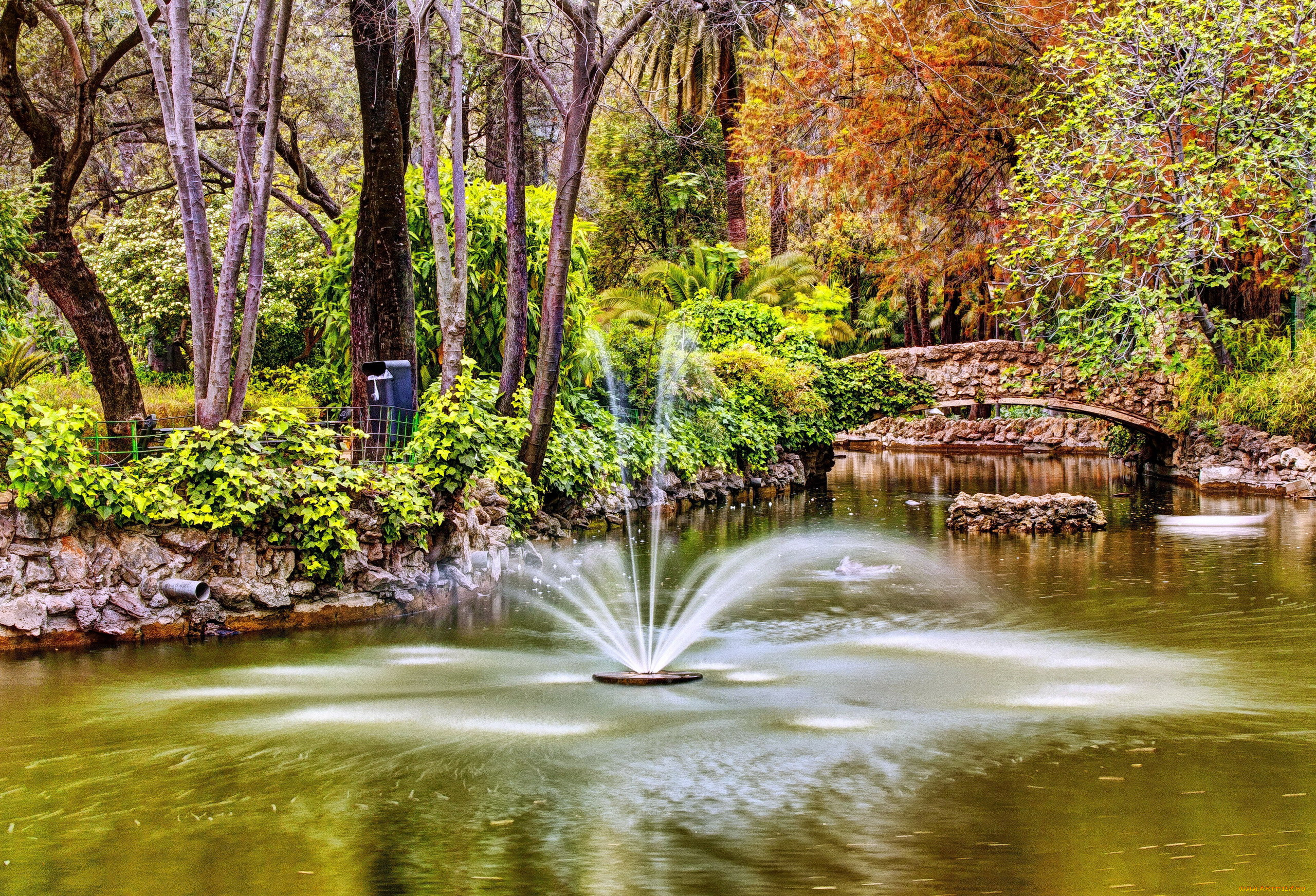 природа, парк, фонтан