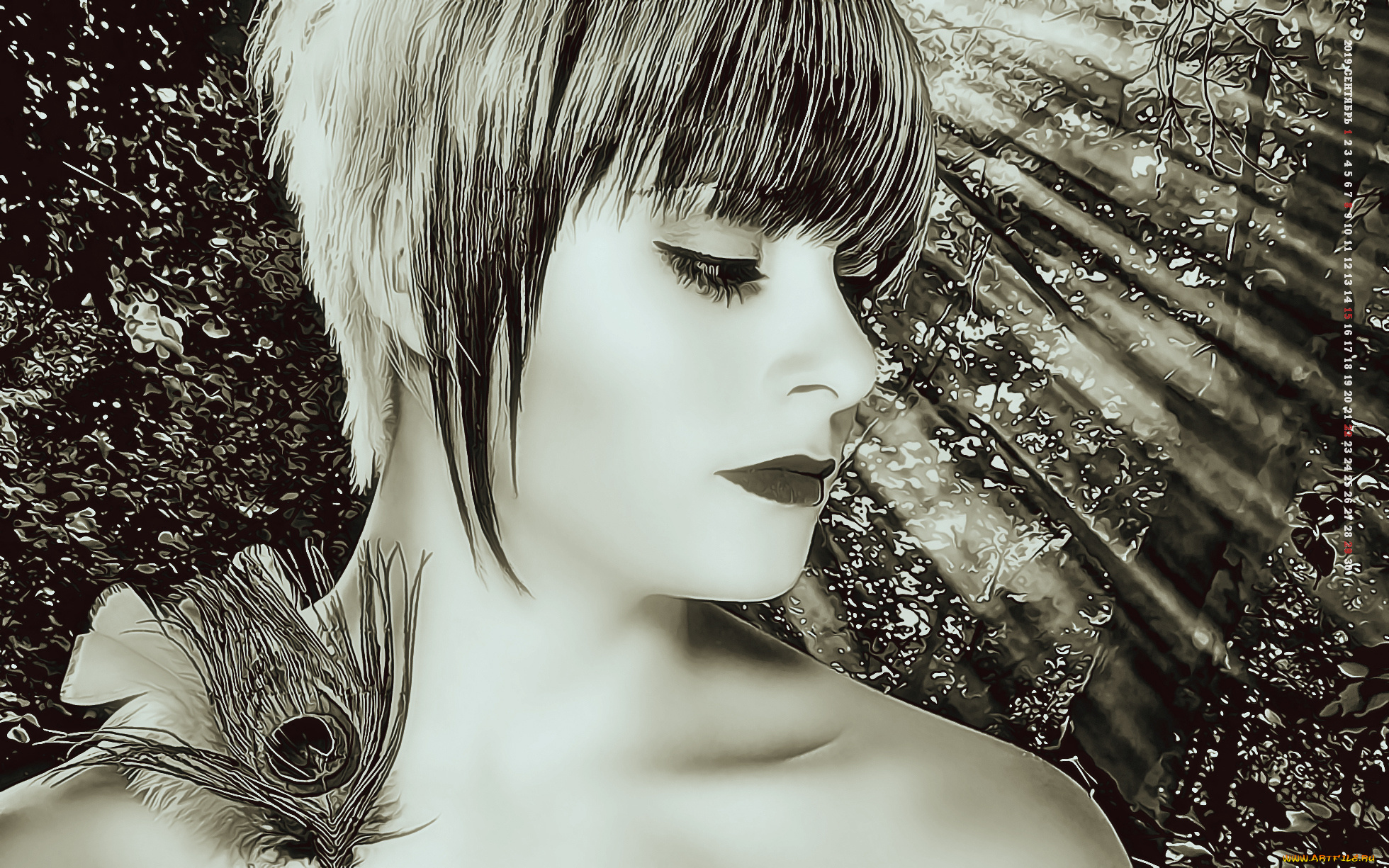 календари, компьютерный, дизайн, calendar, девушка, стрижка, женщина, лицо, профиль, 2019