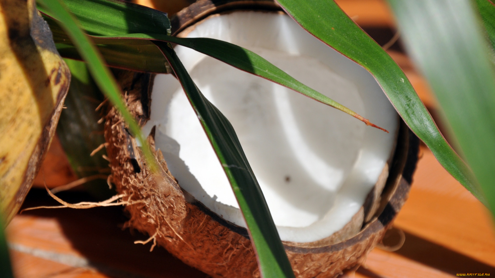 еда, кокос, половина, листья