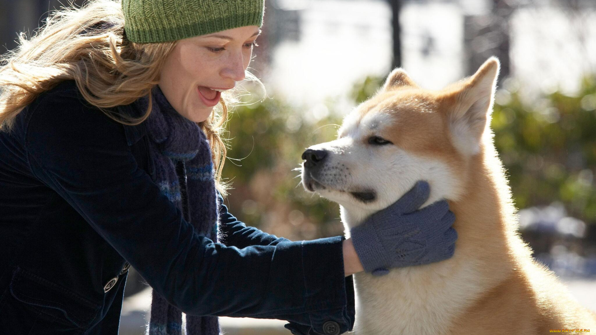 кино, фильмы, hachiko, , a, dogs, story, женщина, собака