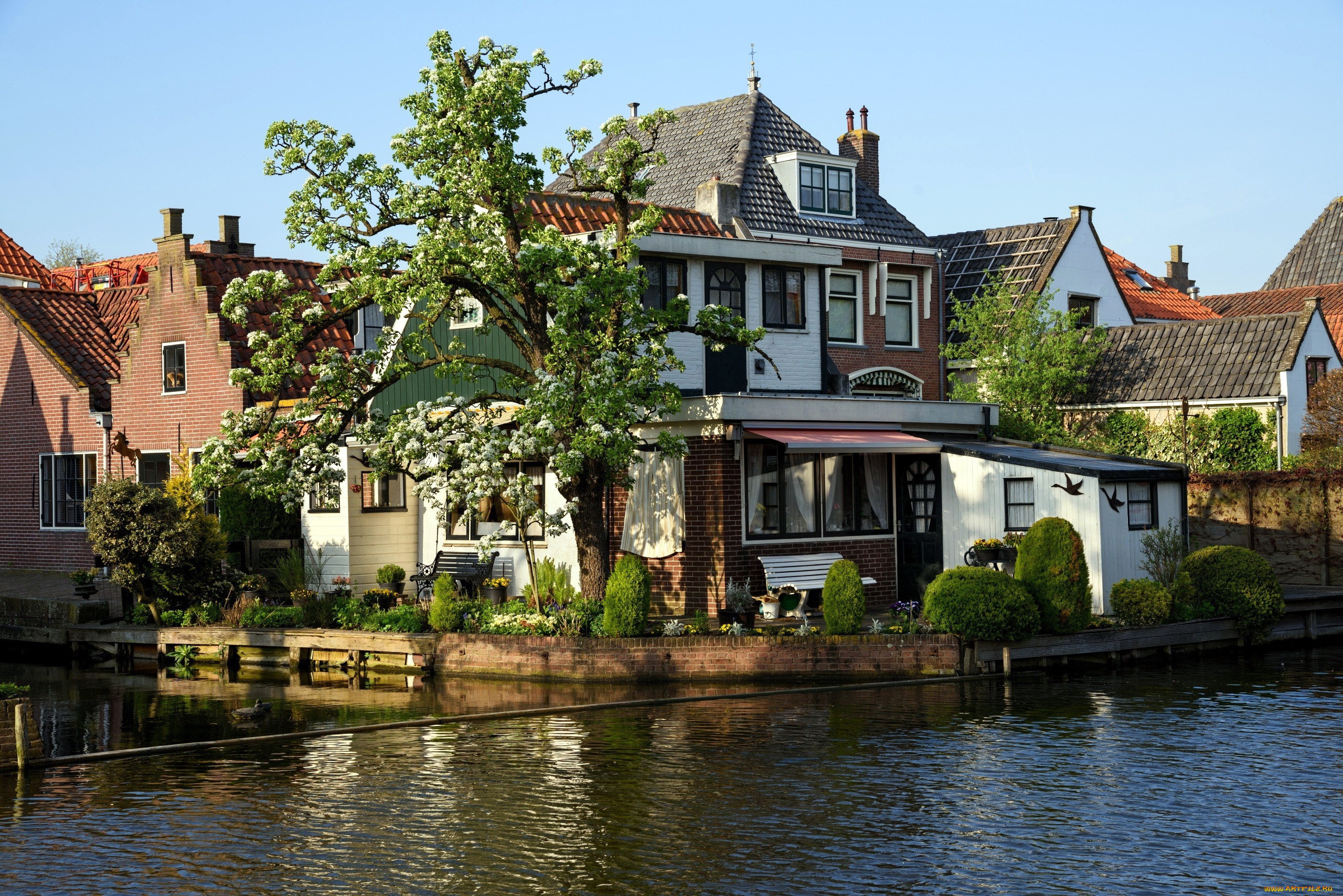 edam, netherlands, города, -, здания, , дома