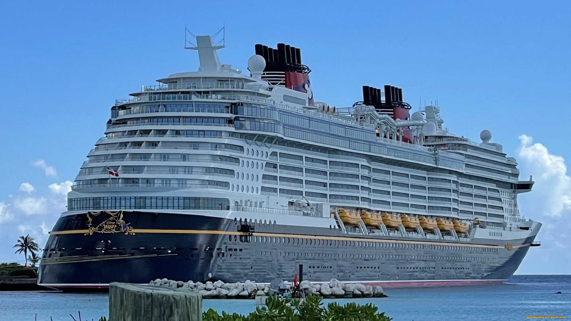 корабли, лайнеры, лайнер, круизный