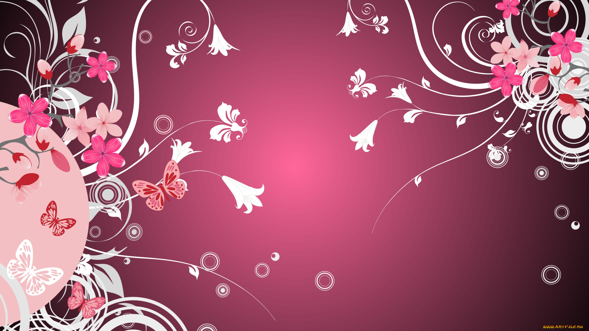 векторная, графика, цветы, , flowers, цветы, бабочки