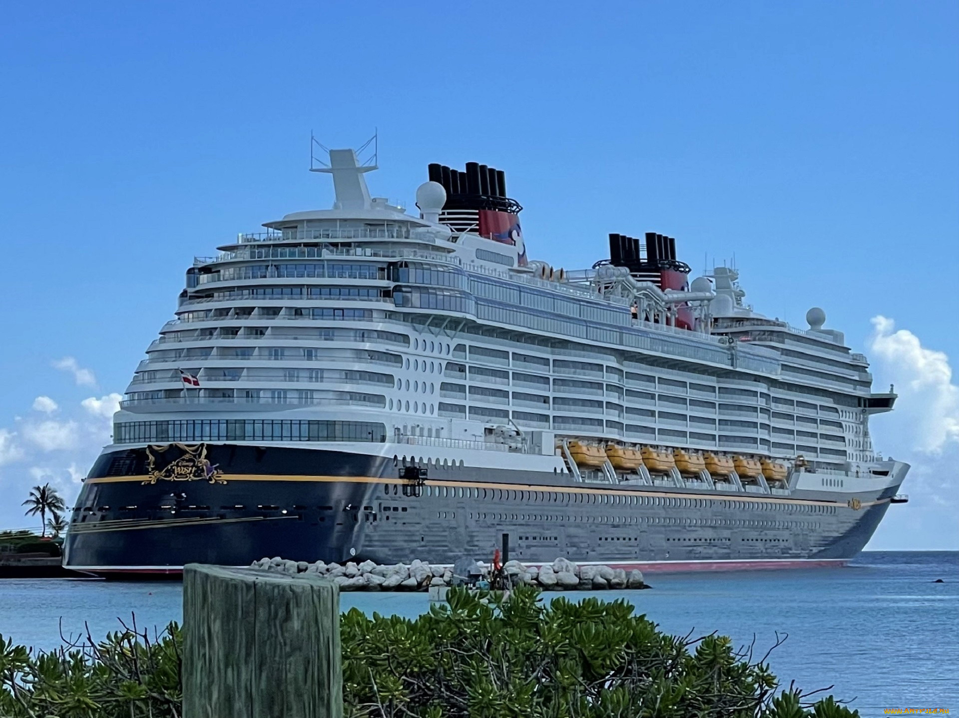 корабли, лайнеры, лайнер, круизный