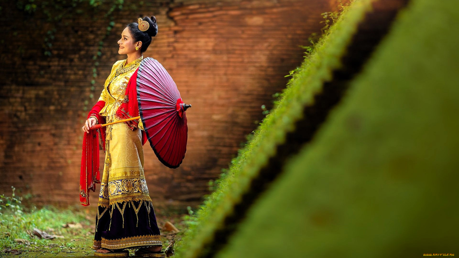 девушки, -, азиатки, брюнетка, наряд, зонт