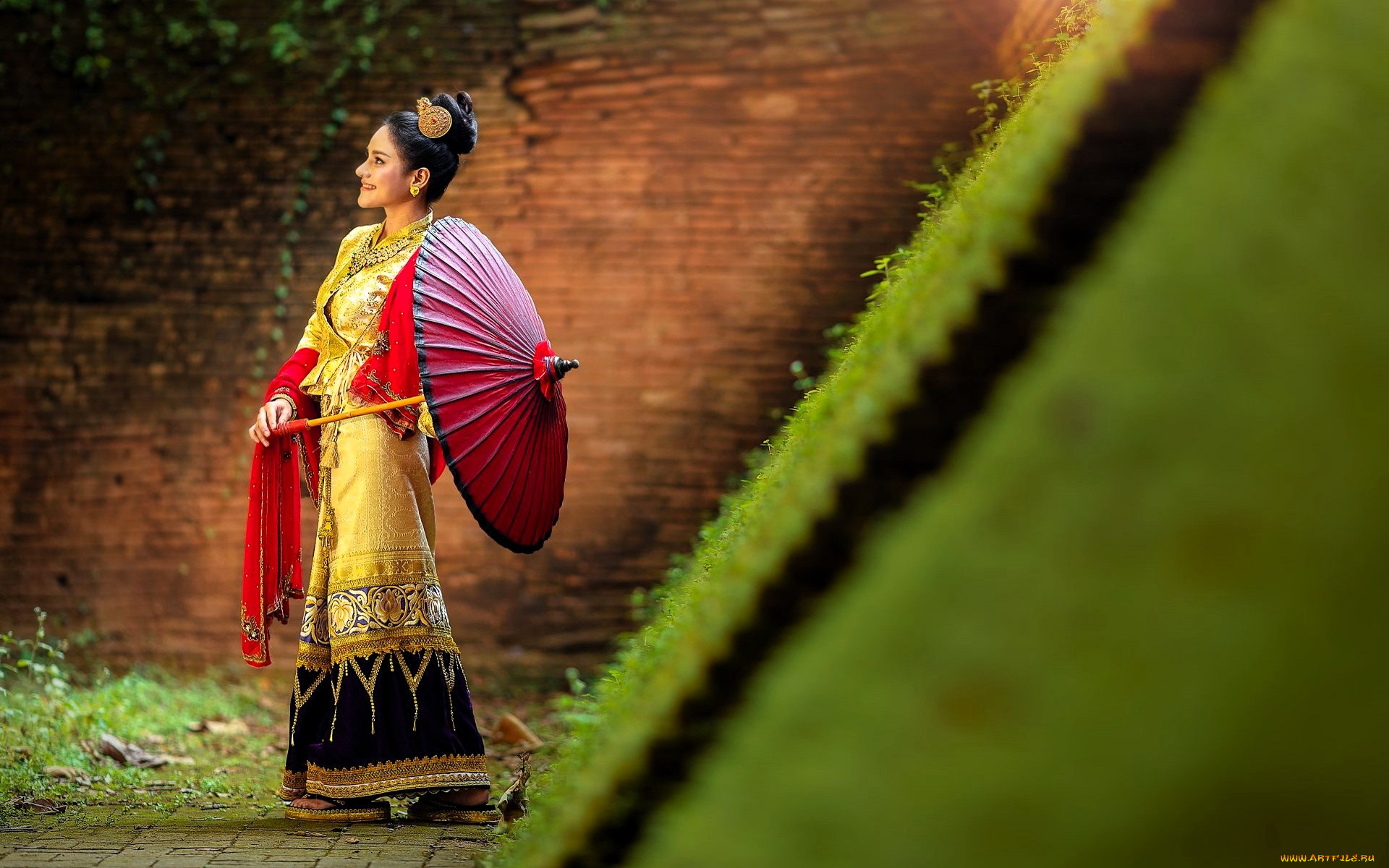 девушки, -, азиатки, брюнетка, наряд, зонт