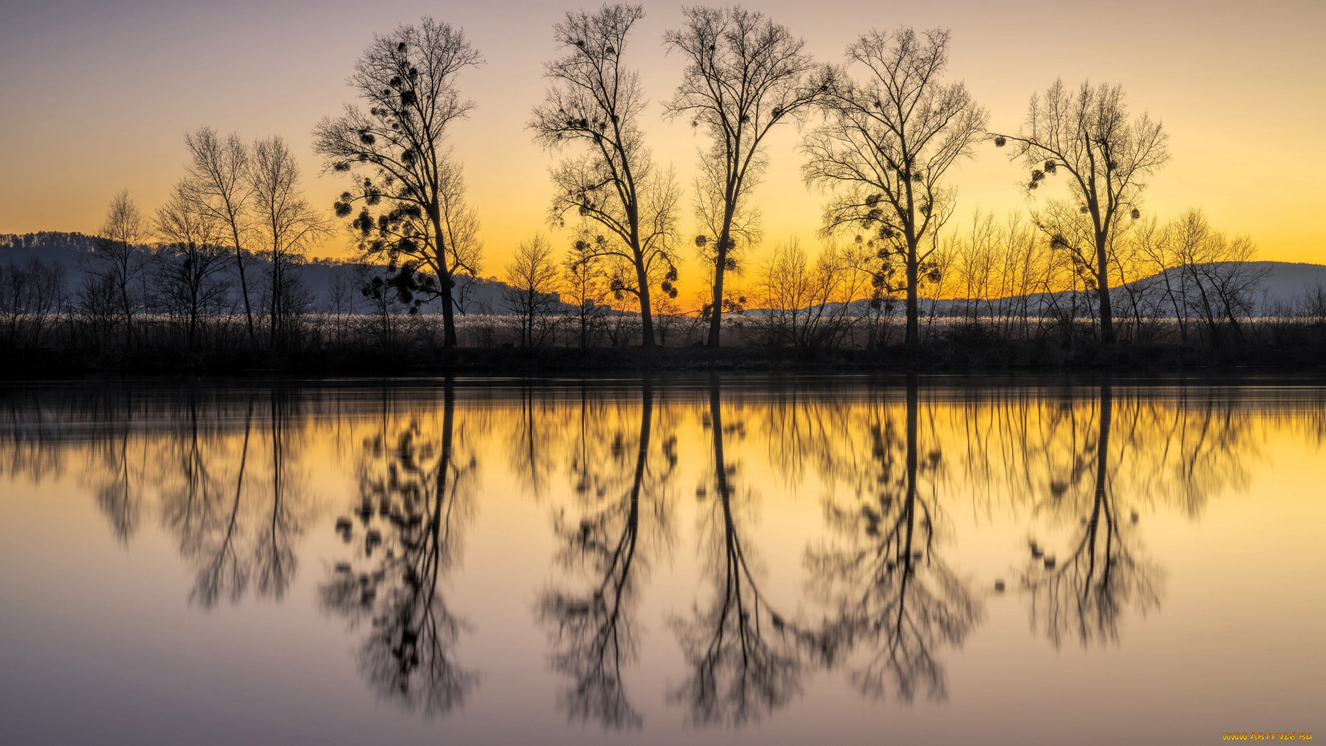 природа, реки, озера, озеро, деревья, закат