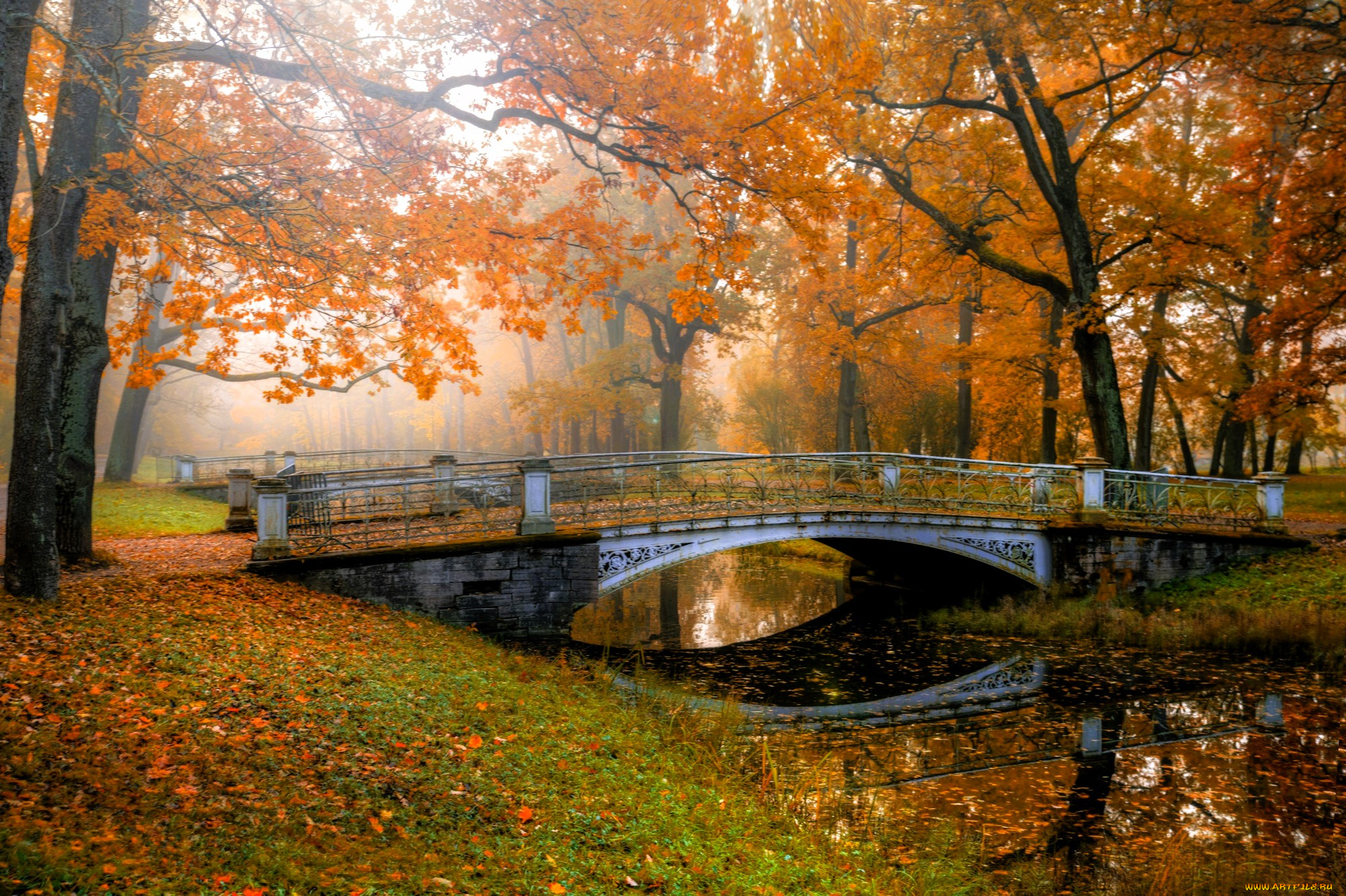 города, -, мосты, мост, пруд, листья, парк, осень, туман