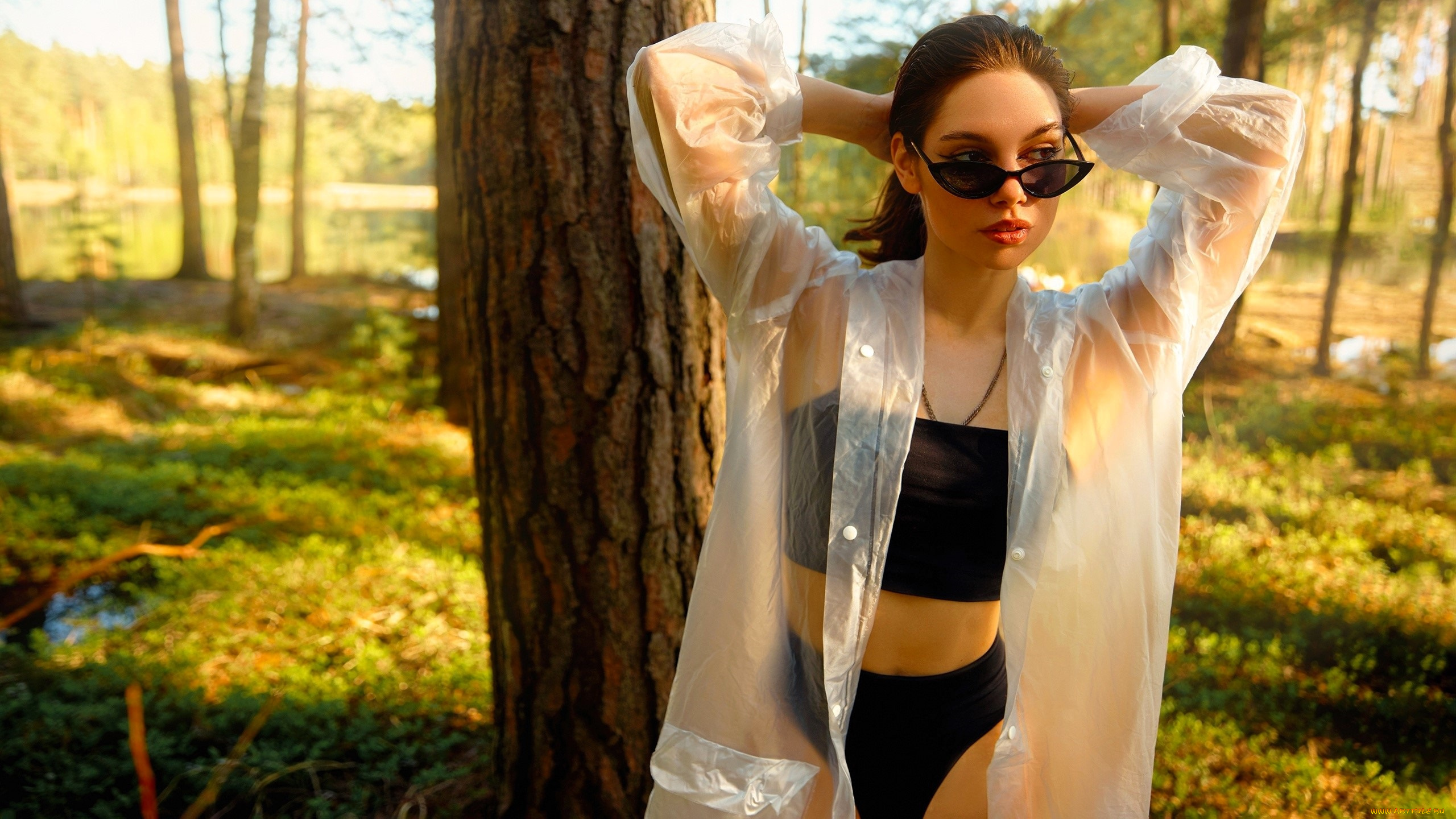 девушки, -, брюнетки, , шатенки, шатенка, очки, белье, рубашка, лес