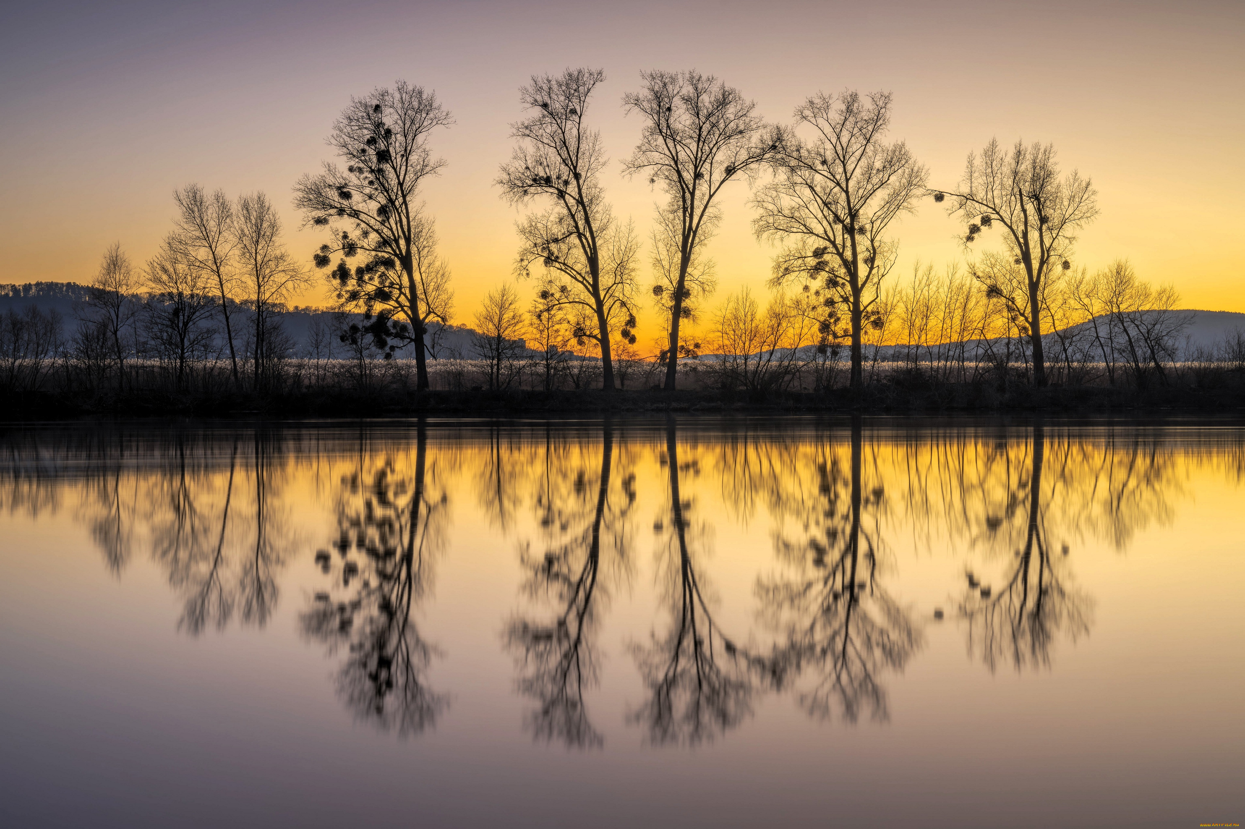 природа, реки, озера, озеро, деревья, закат