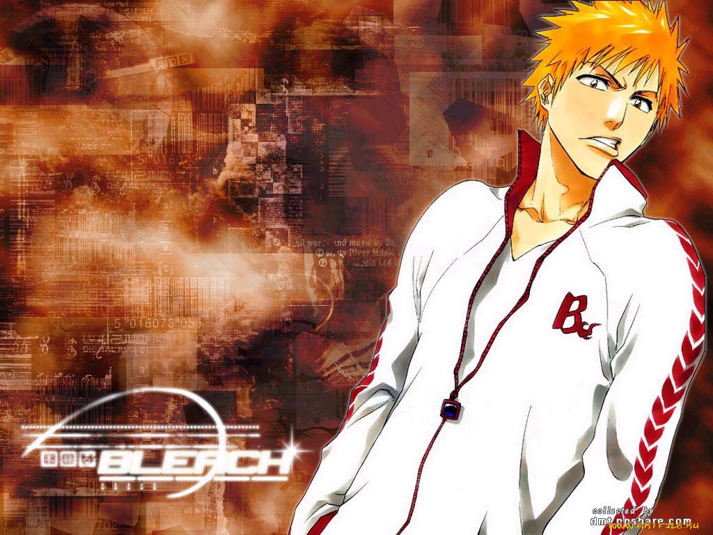 аниме, bleach