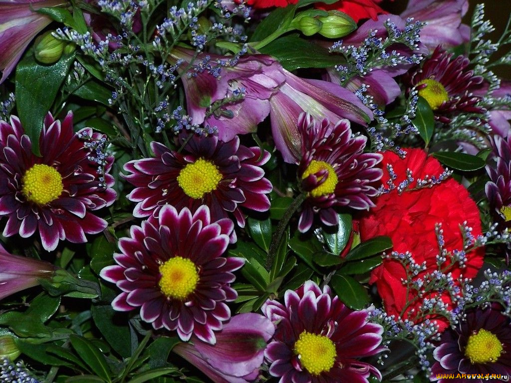 цветы, разные, вместе