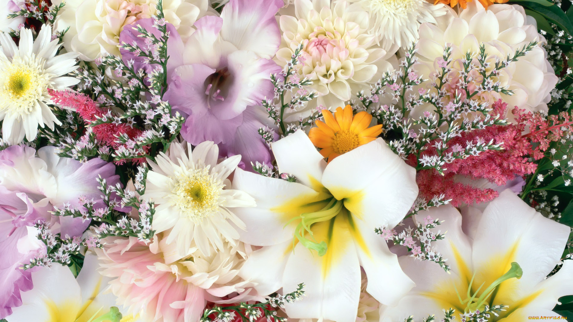 цветы, разные, вместе