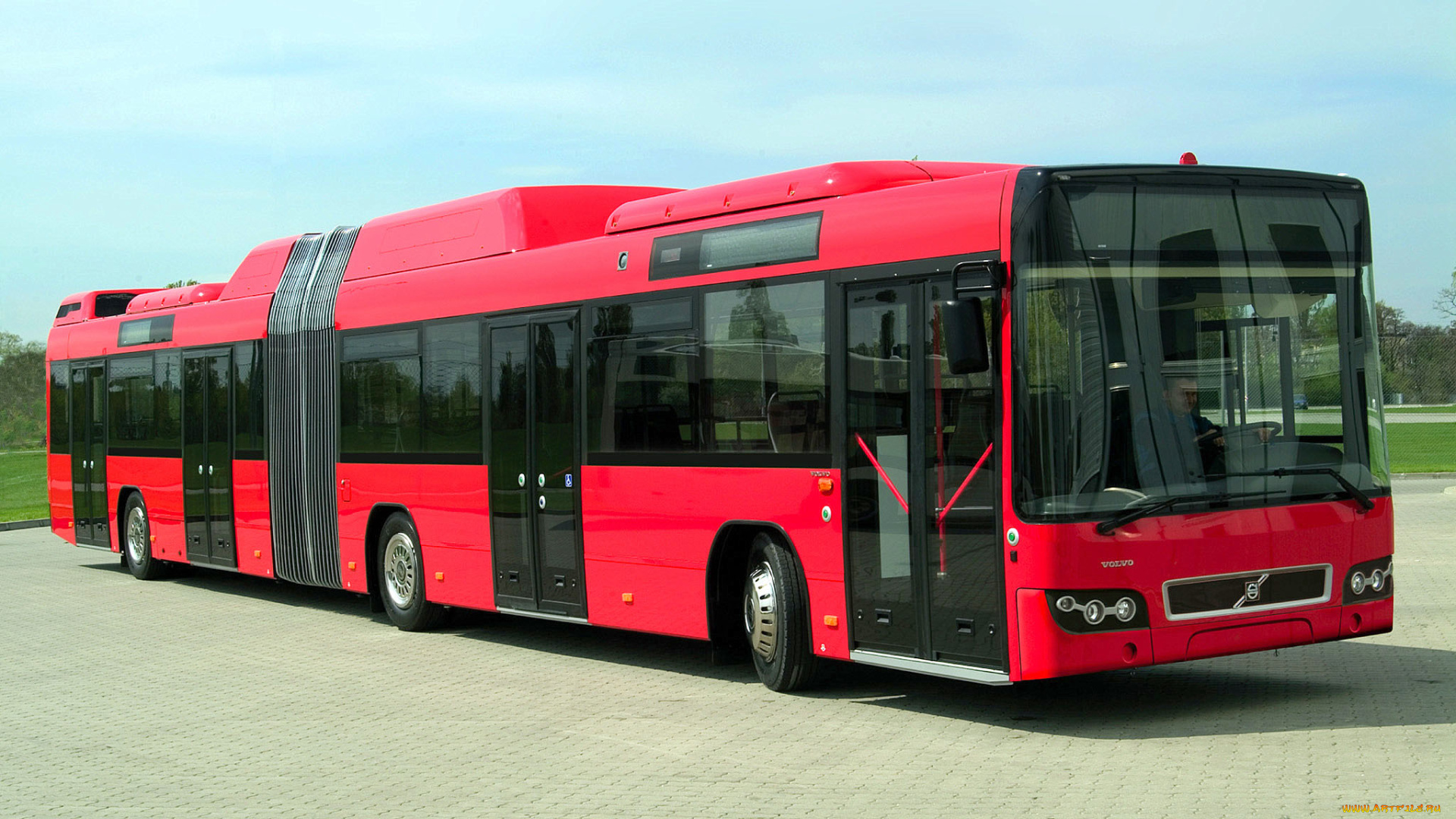 автомобили, автобусы