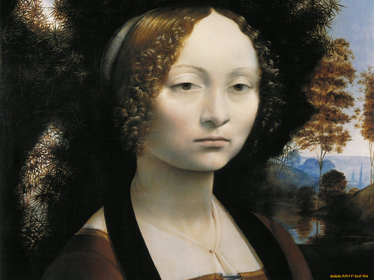 leonardo, da, vinci, portrait, of, ginevra, de, benc, рисованные