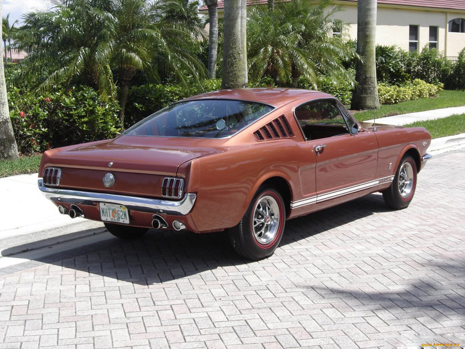 автомобили, mustang