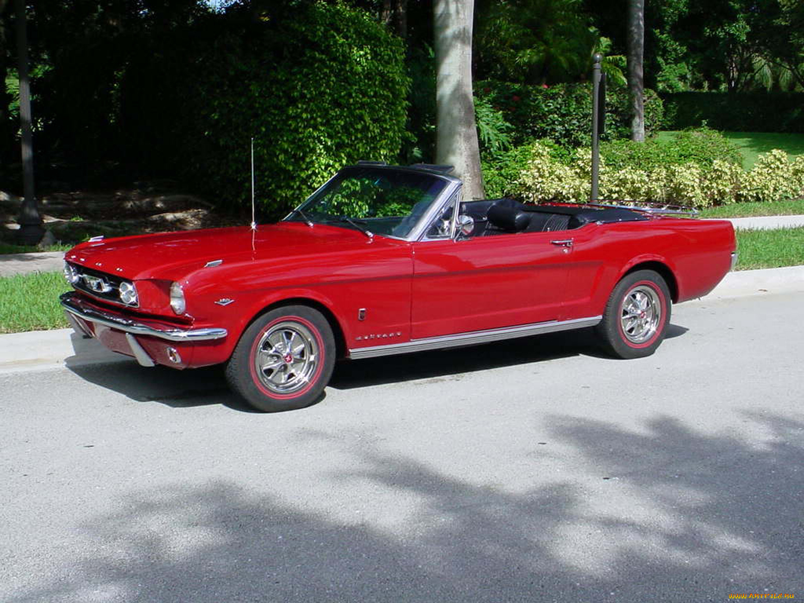 автомобили, mustang