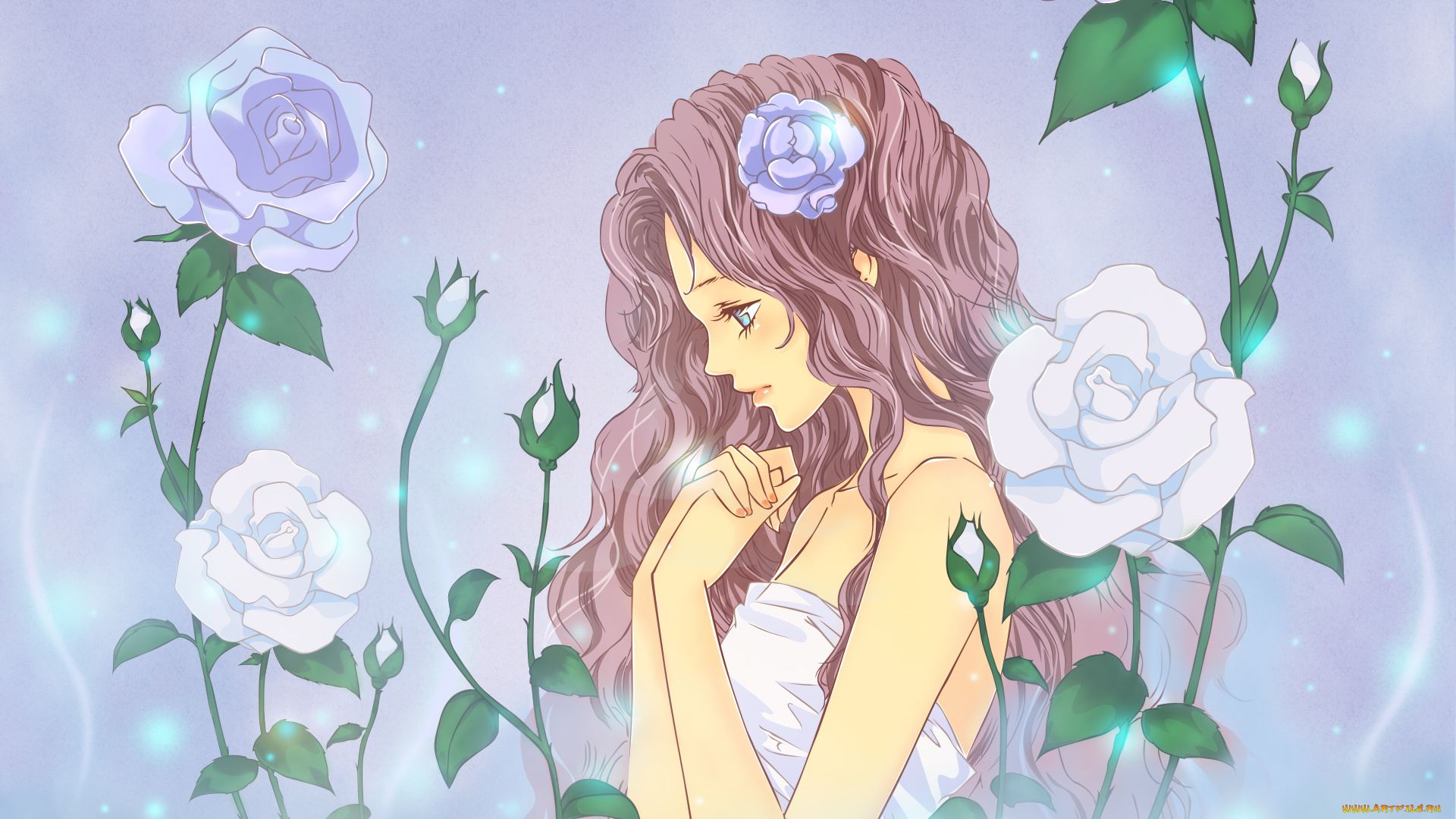 pandora`s, tear, аниме, *unknown, другое