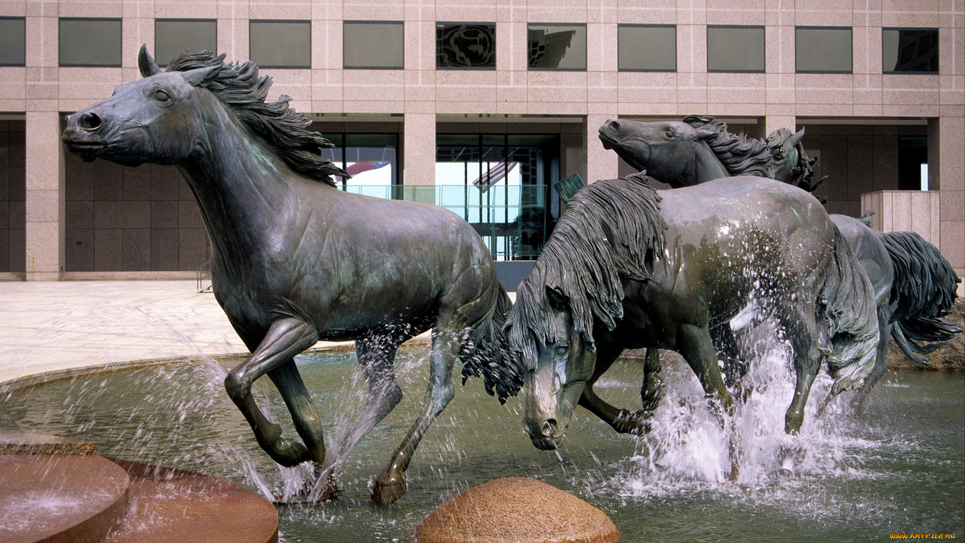 города, памятники, скульптуры, арт, объекты, лошади, вода