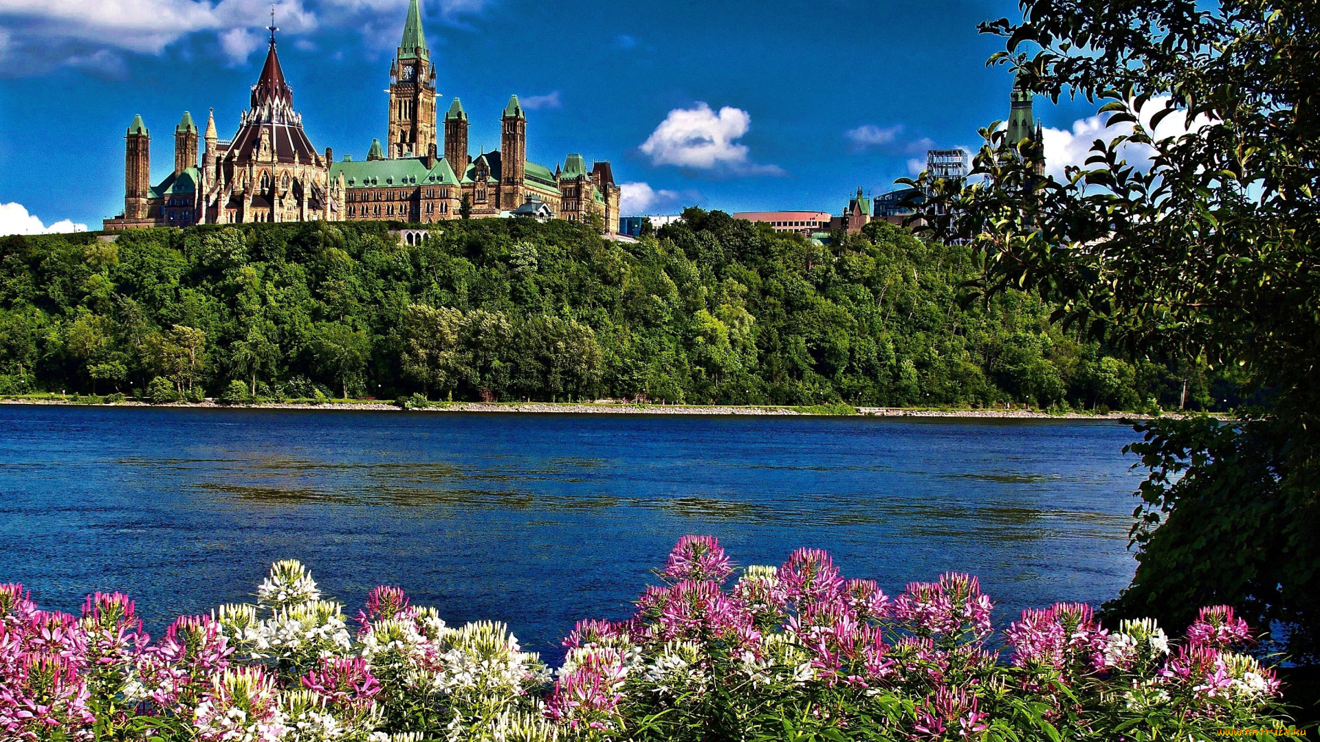 оттава, канада, города, шпили, здание, река, цветы