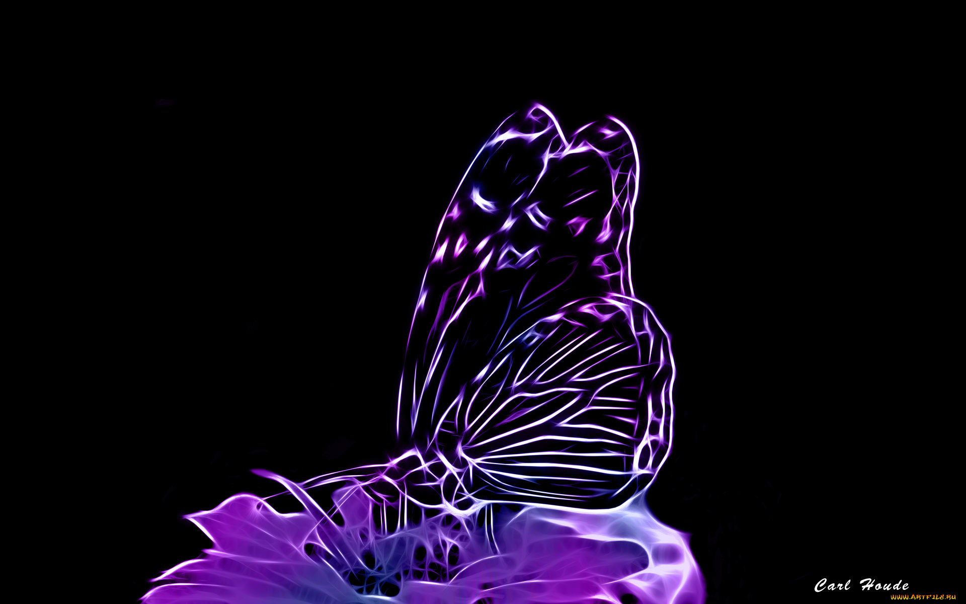 3д, графика, animals, животные, сиреневый, фрактал, цветок, бабочка