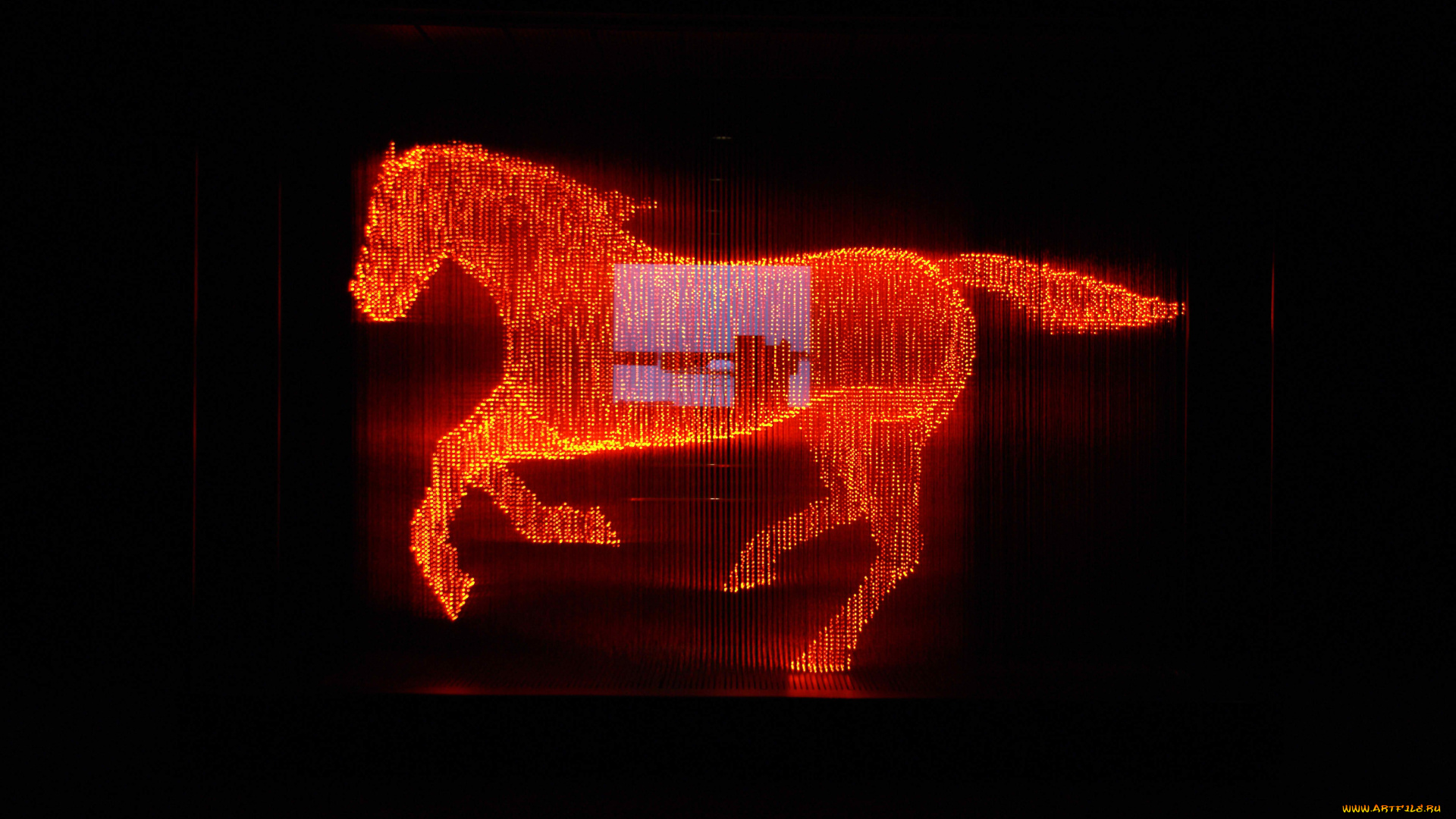 3д, графика, animals, животные, лошадь